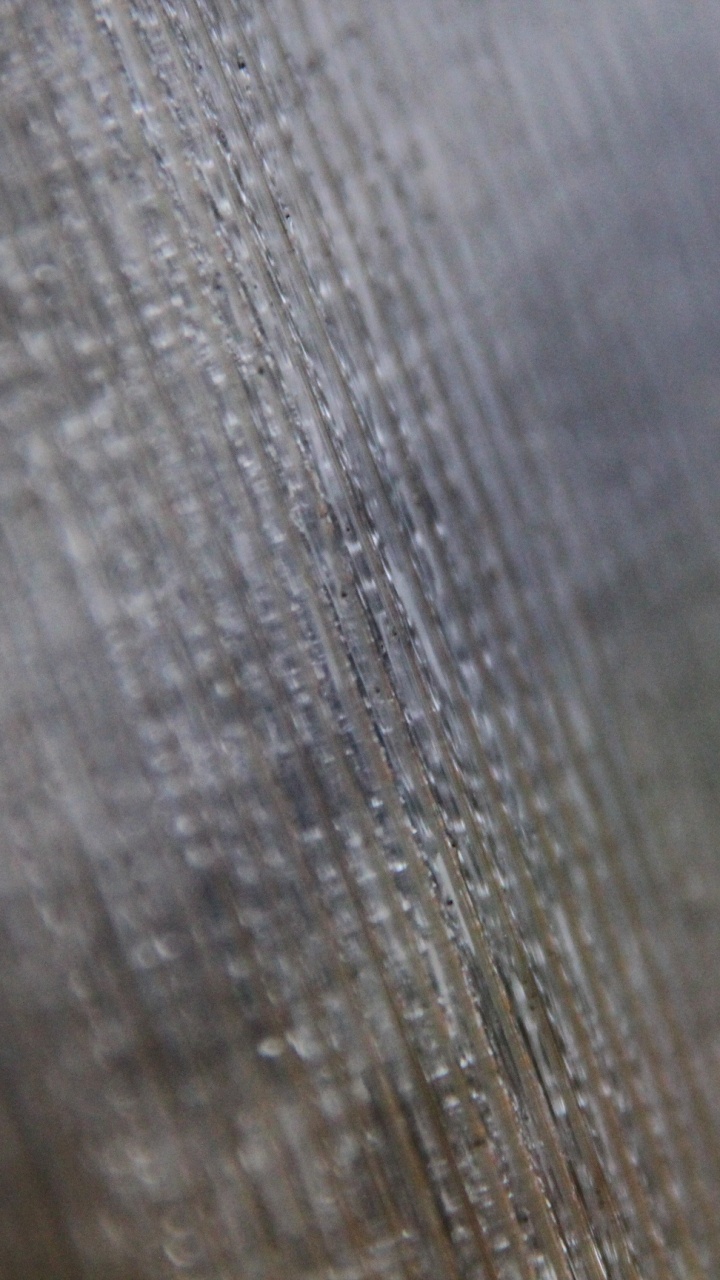 Обои крупный план, древесина, художественный музей, серый цвет, текстура в разрешении 720x1280