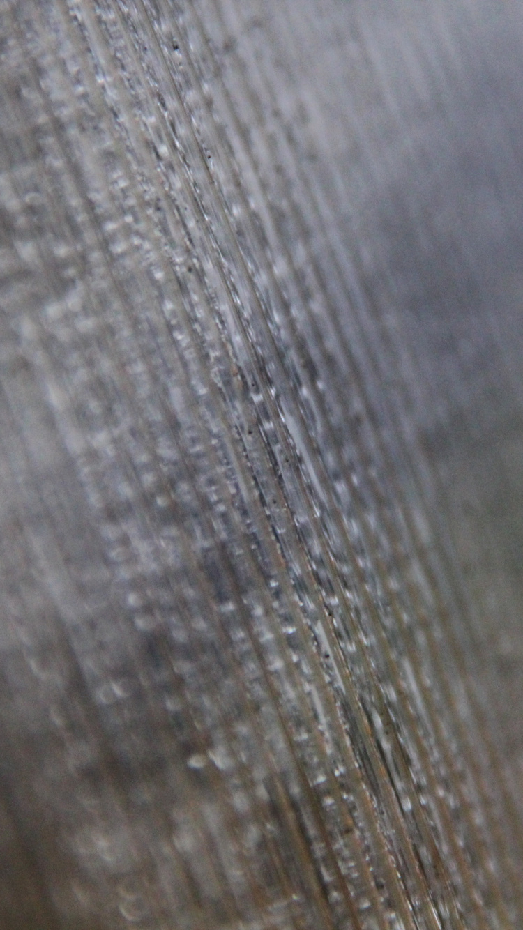 Обои крупный план, древесина, художественный музей, серый цвет, текстура в разрешении 750x1334