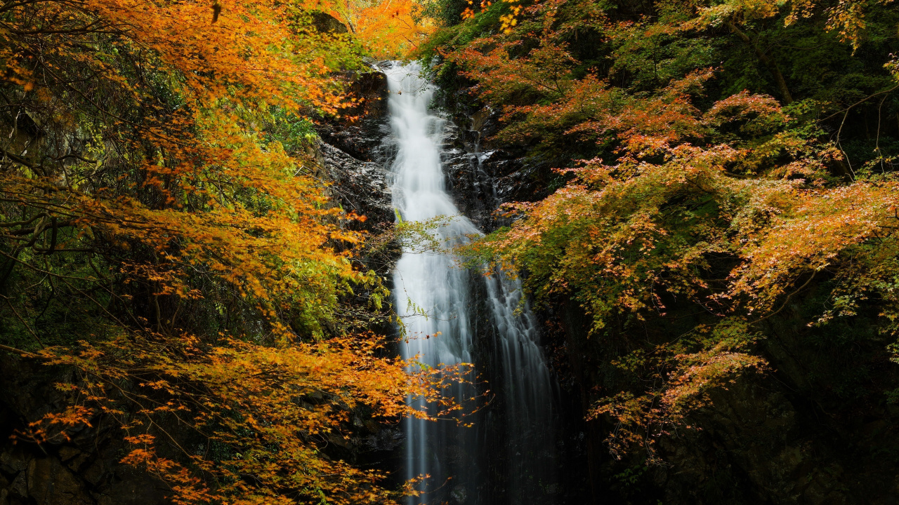 Обои водопад, водоем, природа, вода, лист в разрешении 1280x720
