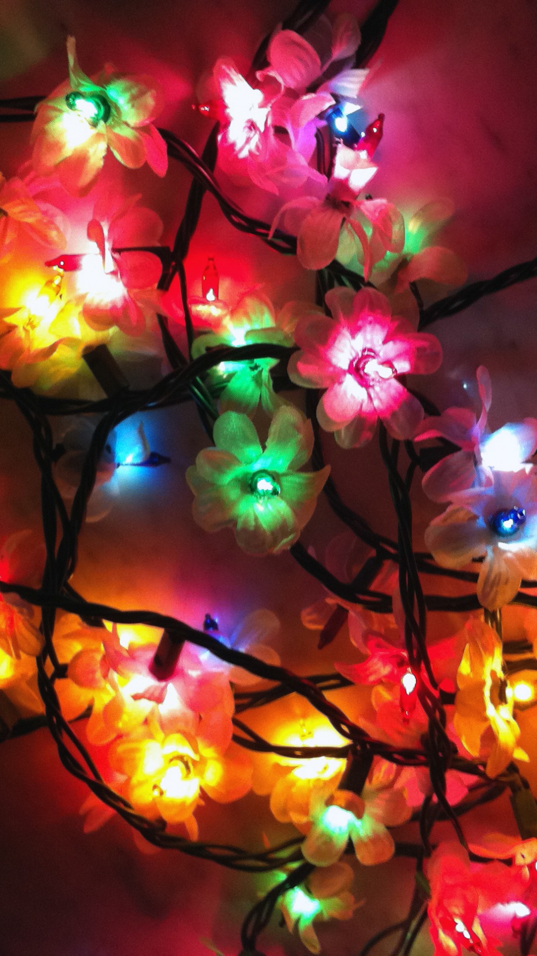 Обои Рождественские огни, освещение, свет, цветок, Рождественский день в разрешении 1080x1920