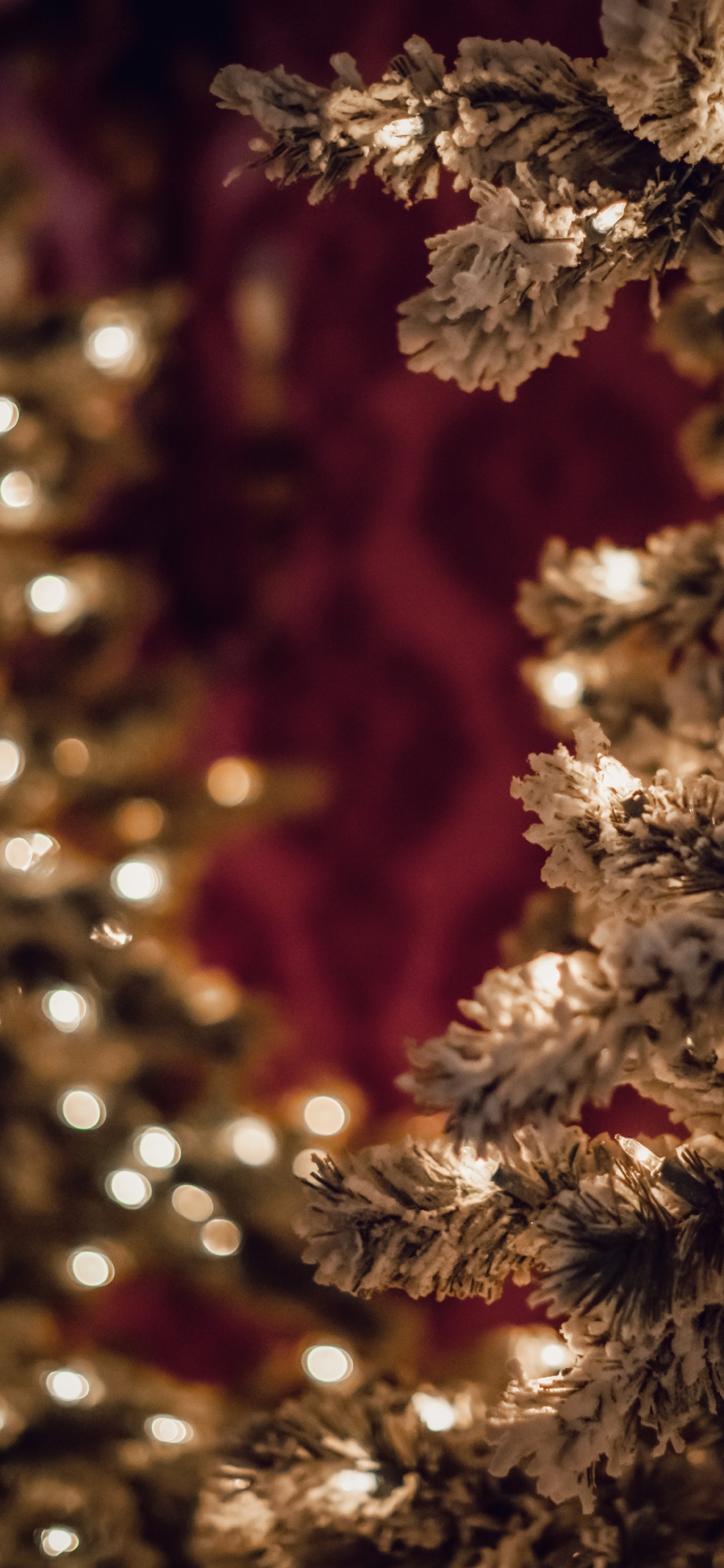 Обои пихта, растение, дерево, ветвь, Рождественские огни в разрешении 1125x2436