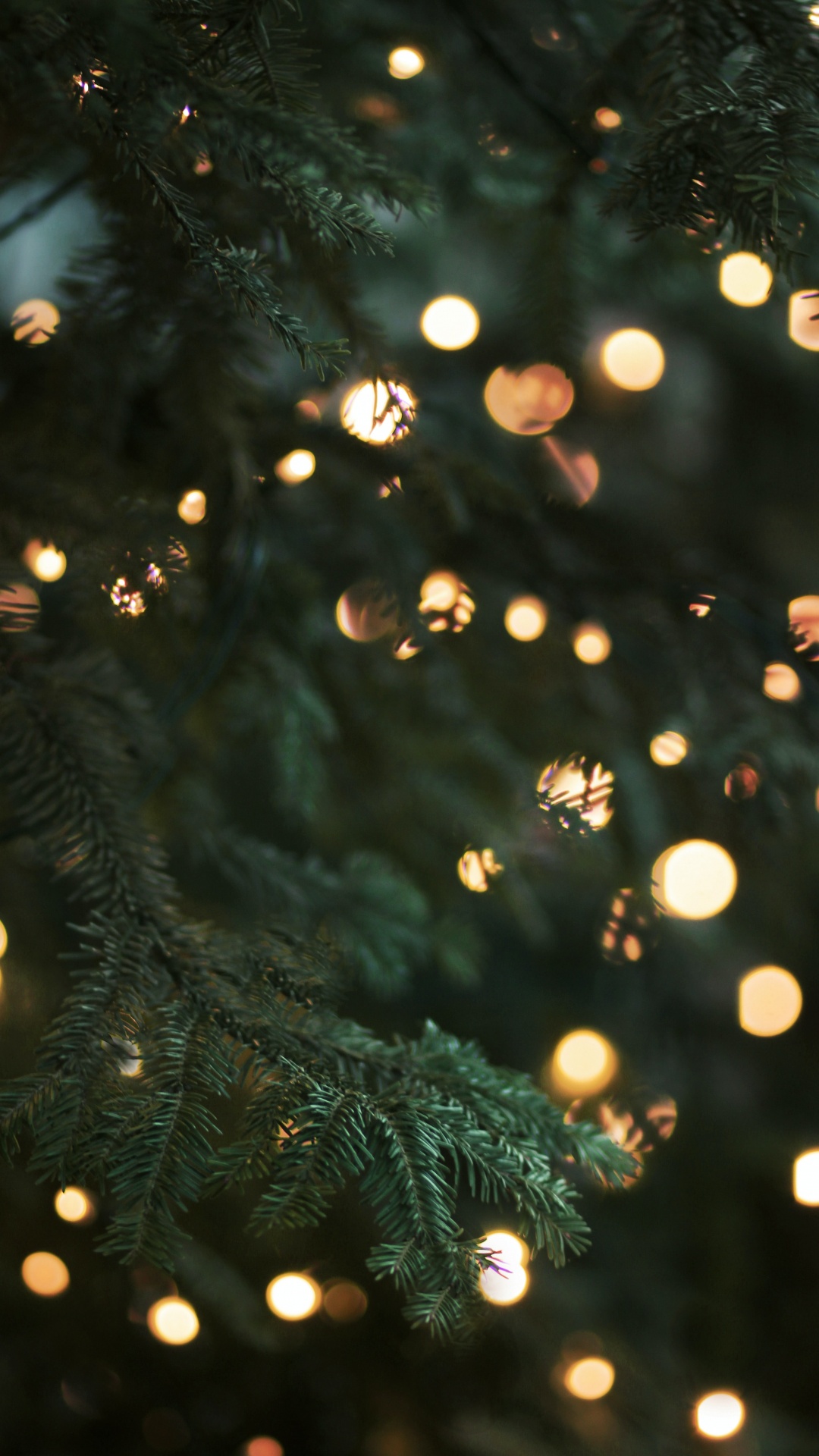 Обои Рождество, Рождественские огни, елка, освещение, дерево в разрешении 1080x1920
