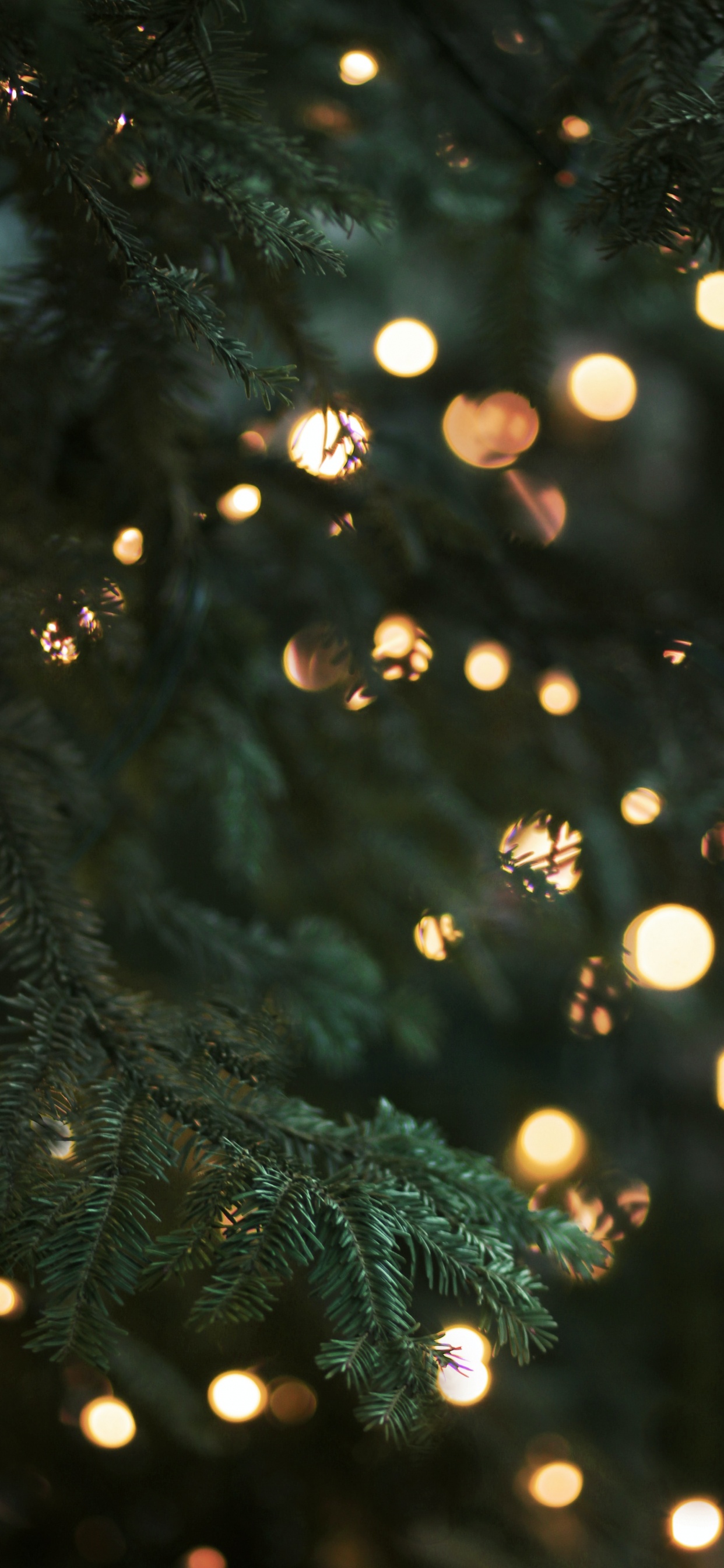 Обои Рождество, Рождественские огни, елка, освещение, дерево в разрешении 1242x2688