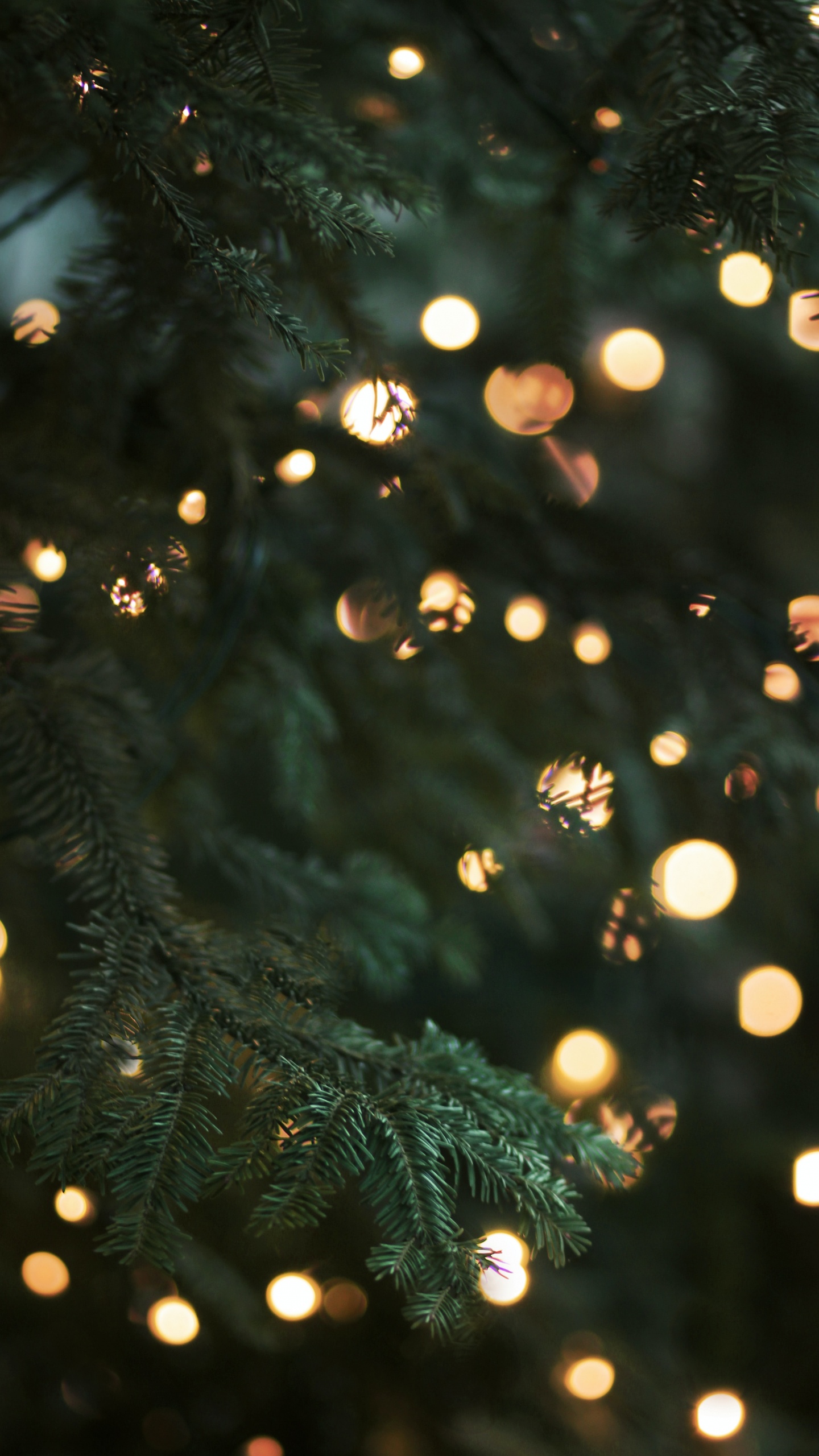 Обои Рождество, Рождественские огни, елка, освещение, дерево в разрешении 1440x2560