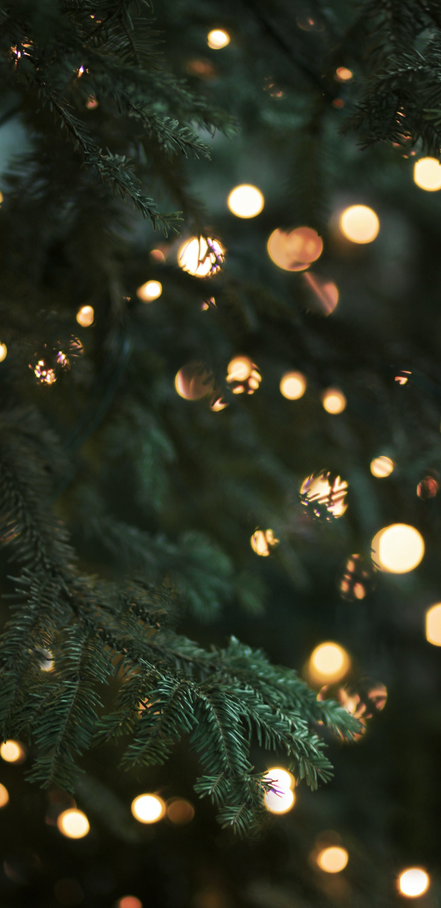 Обои Рождество, Рождественские огни, елка, освещение, дерево в разрешении 1440x2960