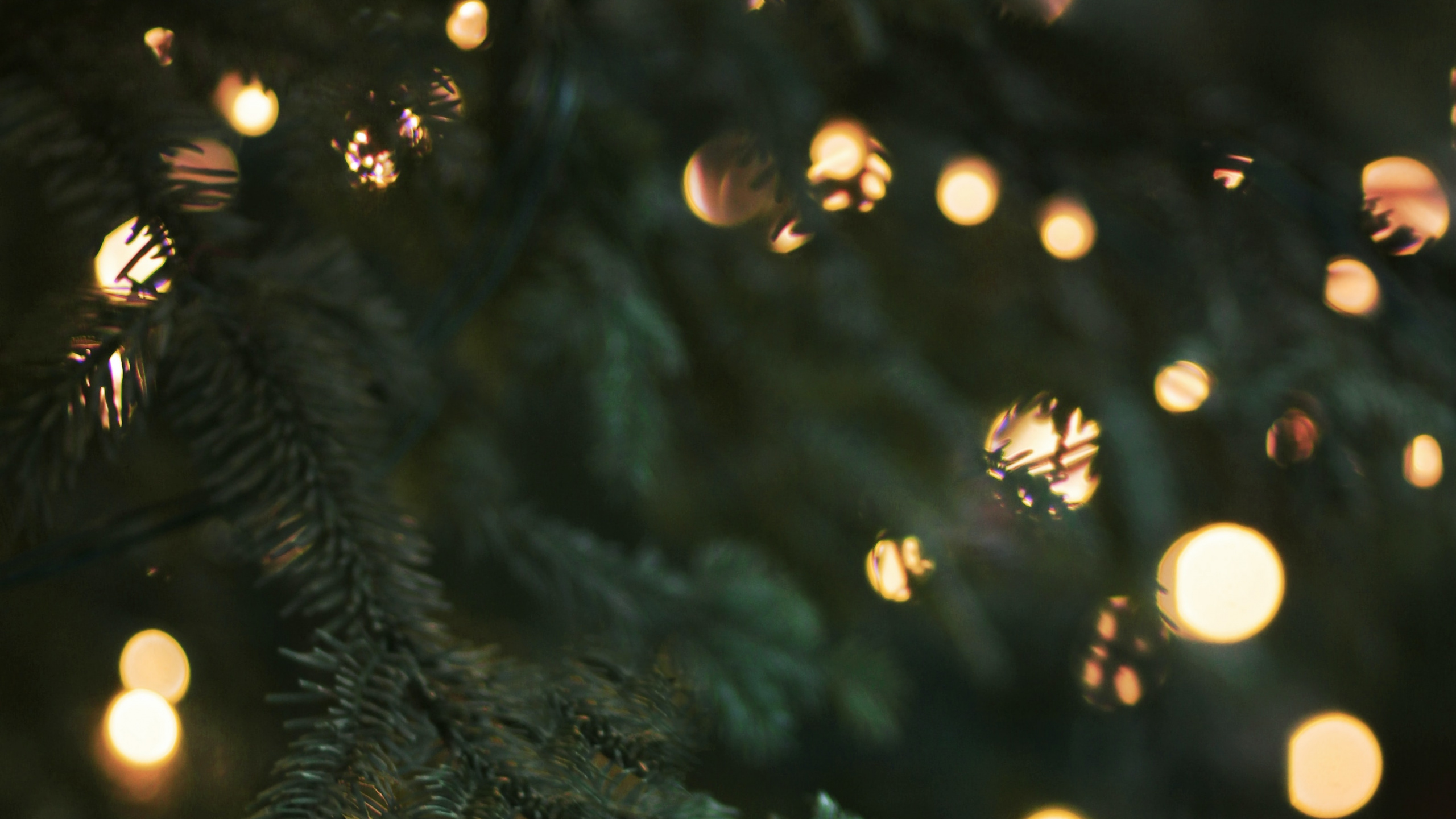 Обои Рождество, Рождественские огни, елка, освещение, дерево в разрешении 2560x1440