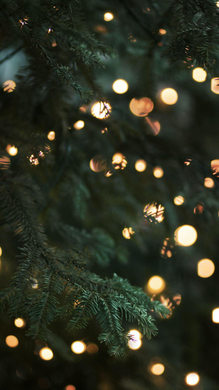 Обои Рождество, Рождественские огни, елка, освещение, дерево в разрешении 750x1334