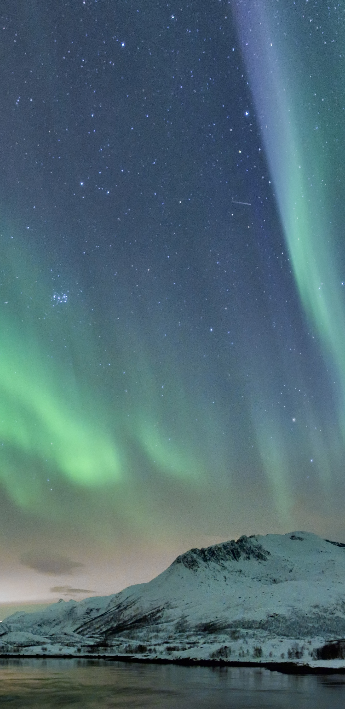 Обои Норвегия, Аврора, природа, зеленый, атмосфера в разрешении 1440x2960
