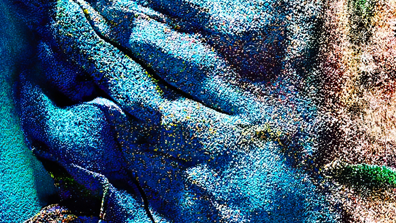 Обои шерсть, визуальное искусство, морская биология, лазурный, ткань в разрешении 1280x720