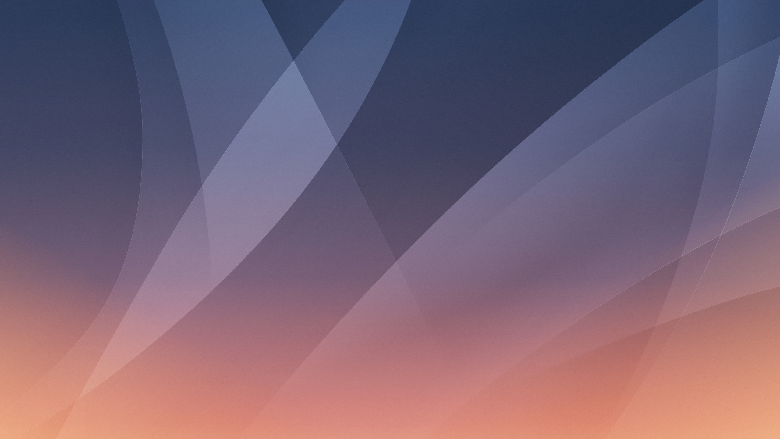 Обои коричневый цвет, пурпур, Фиолетовый, полутона и оттенки, электрик в разрешении 2560x1440