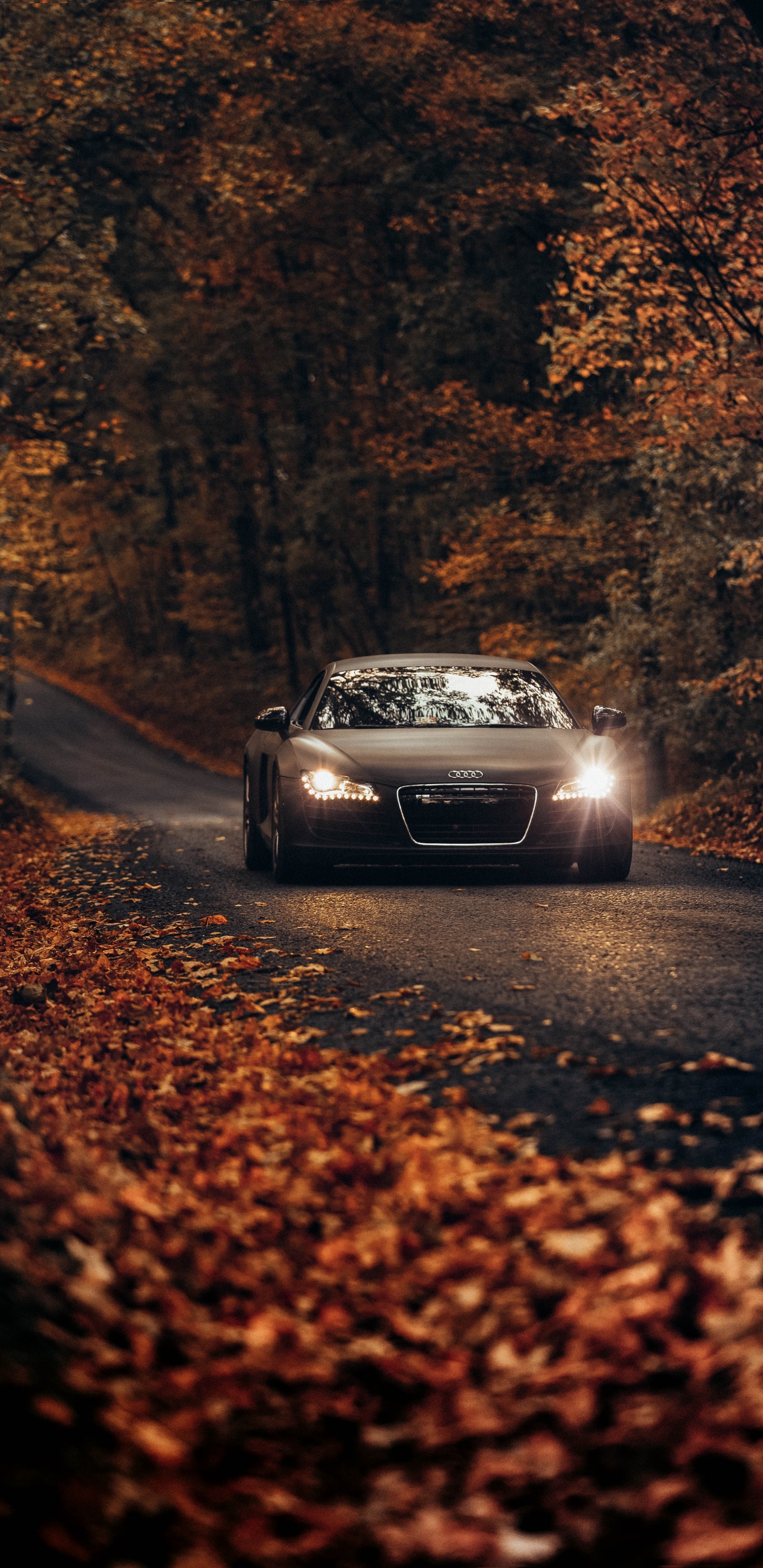 Обои audi r8, audi, авто, спорткар, audi RS5 в разрешении 1440x2960