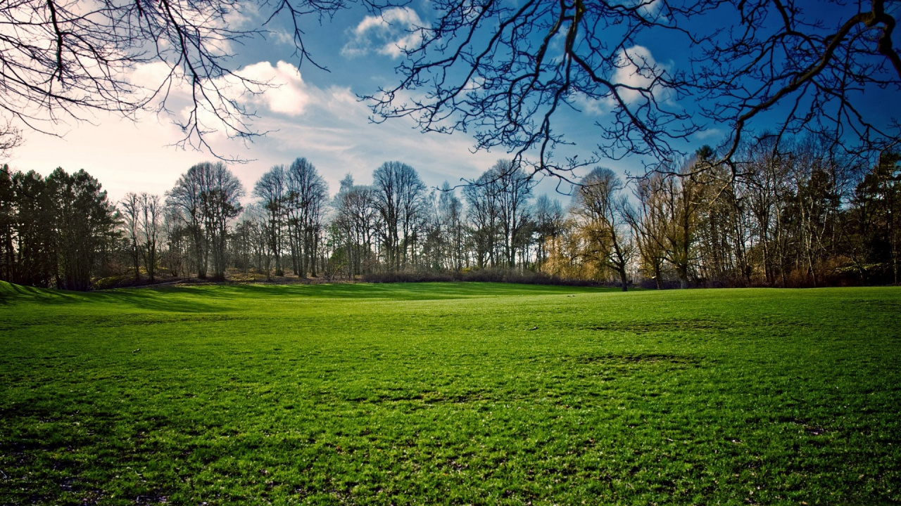 Обои природа, зеленый, дерево, луг, облако в разрешении 1280x720