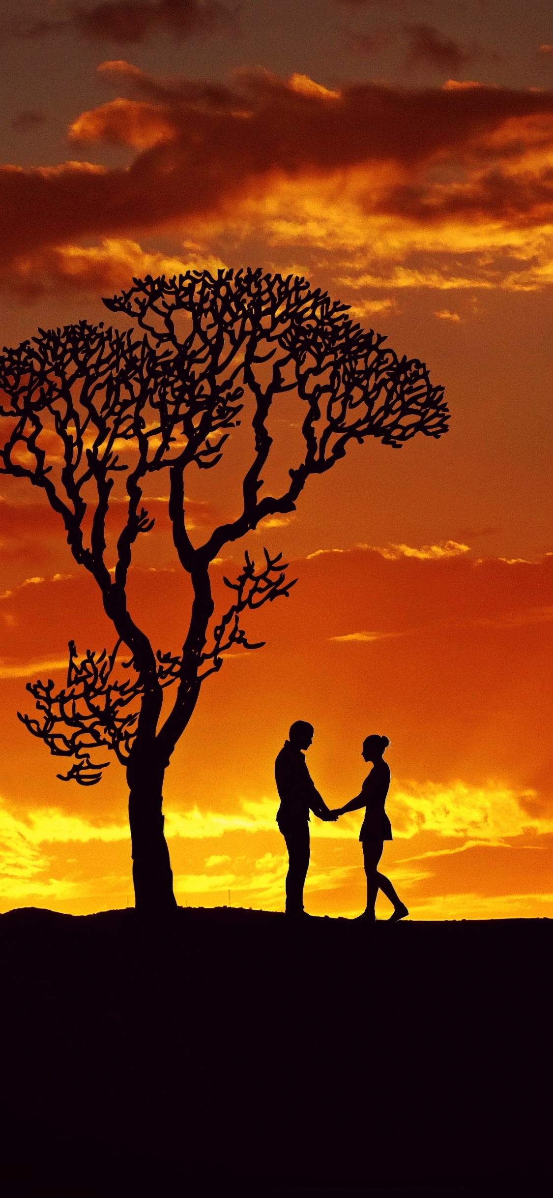 Обои Люди в природе, послесвечение, природа, дерево, закат в разрешении 1125x2436