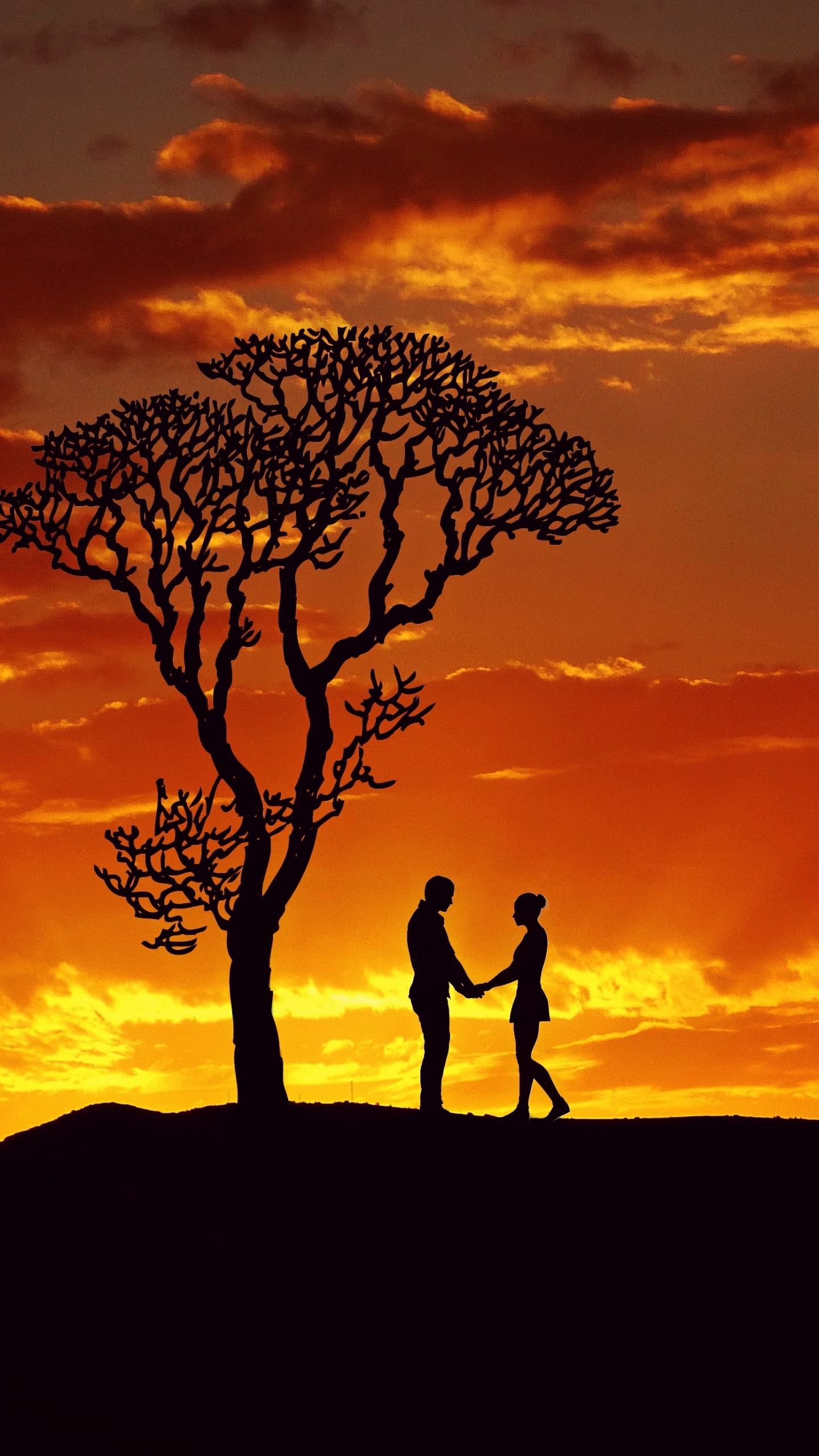 Обои Люди в природе, послесвечение, природа, дерево, закат в разрешении 1440x2560