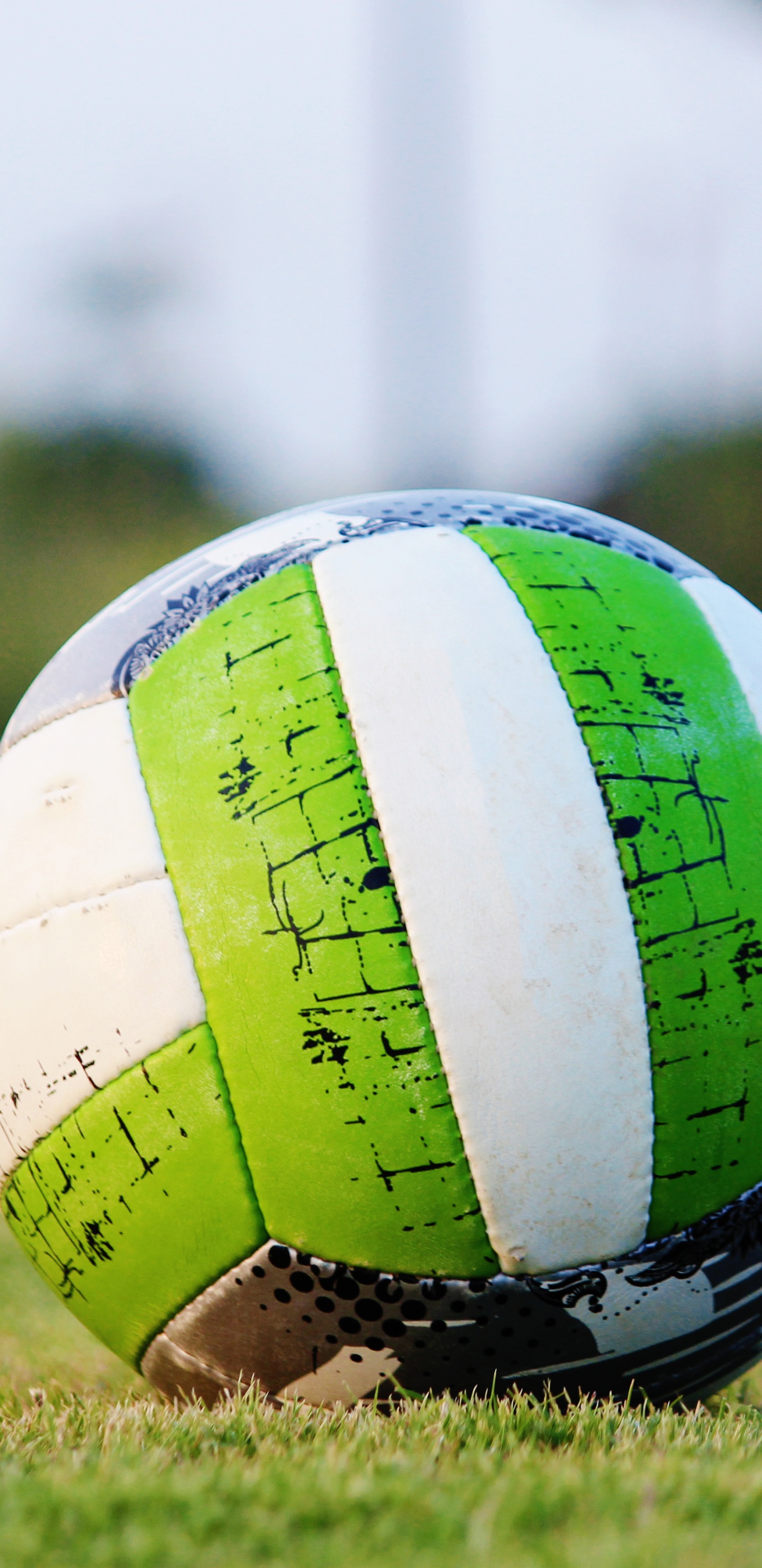 Обои мяч, футбольный мяч, зеленый, футбол, футбольный в разрешении 1440x2960