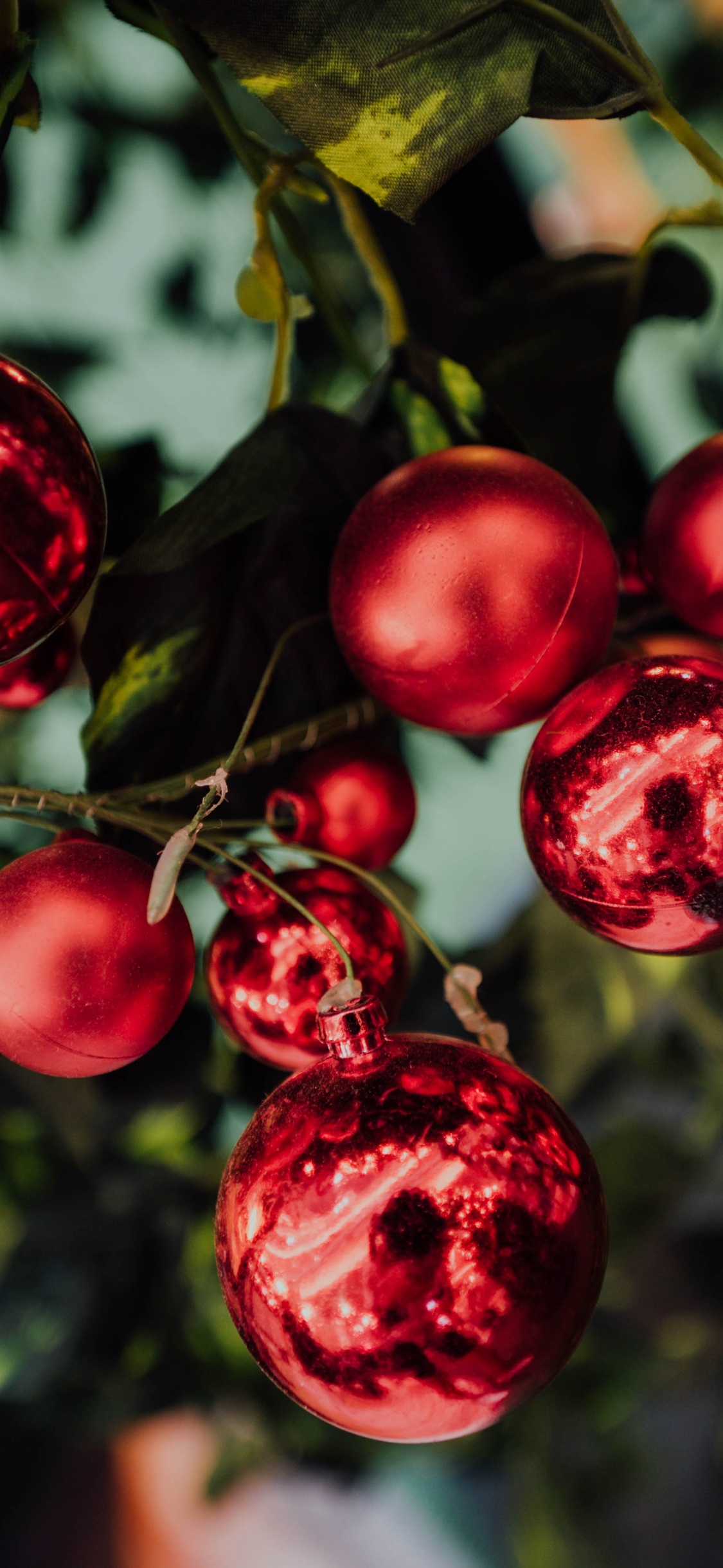 Обои дерево, фрукты, гирлянда, цветок, орнамент в разрешении 1125x2436