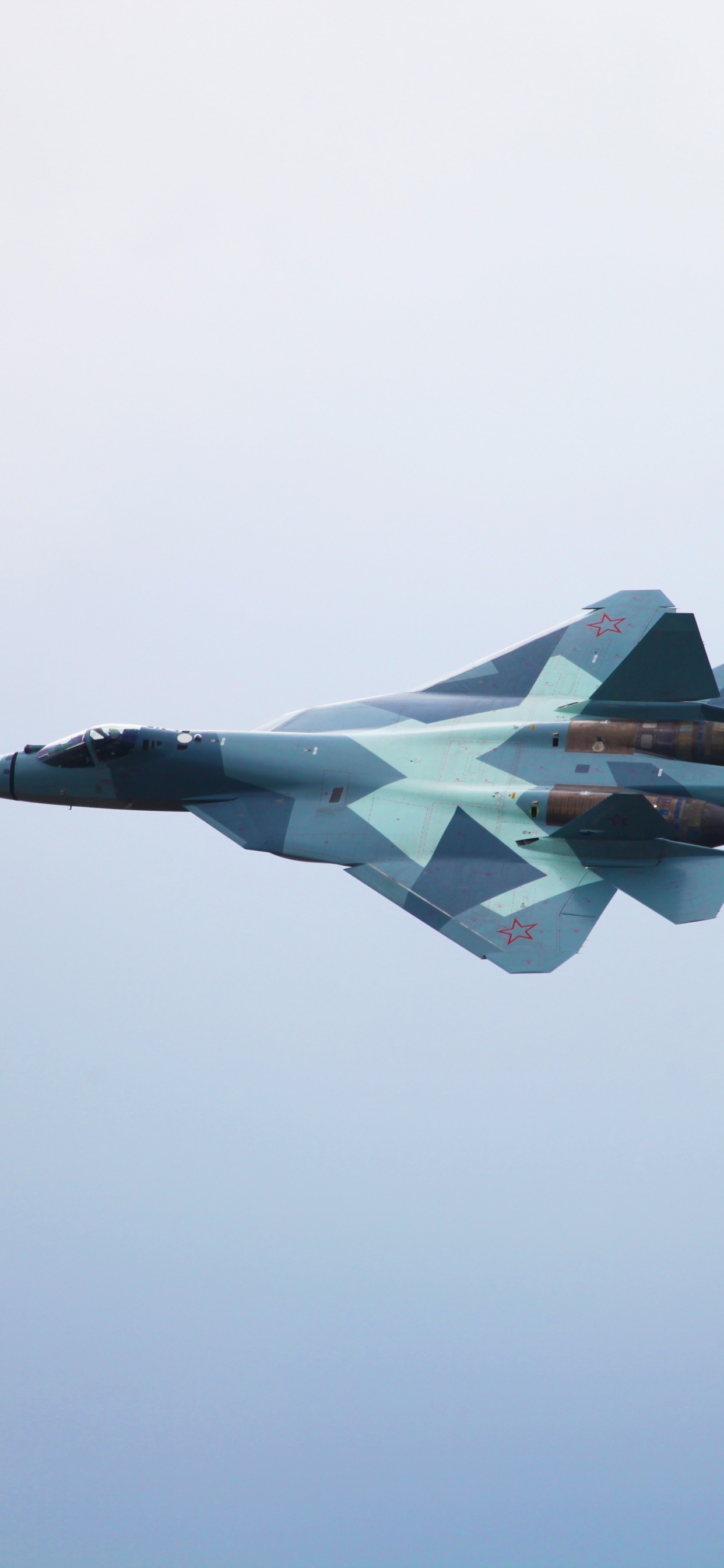 Обои самолет, самолеты, военный самолет, воздушные силы, истребительная авиация в разрешении 1242x2688