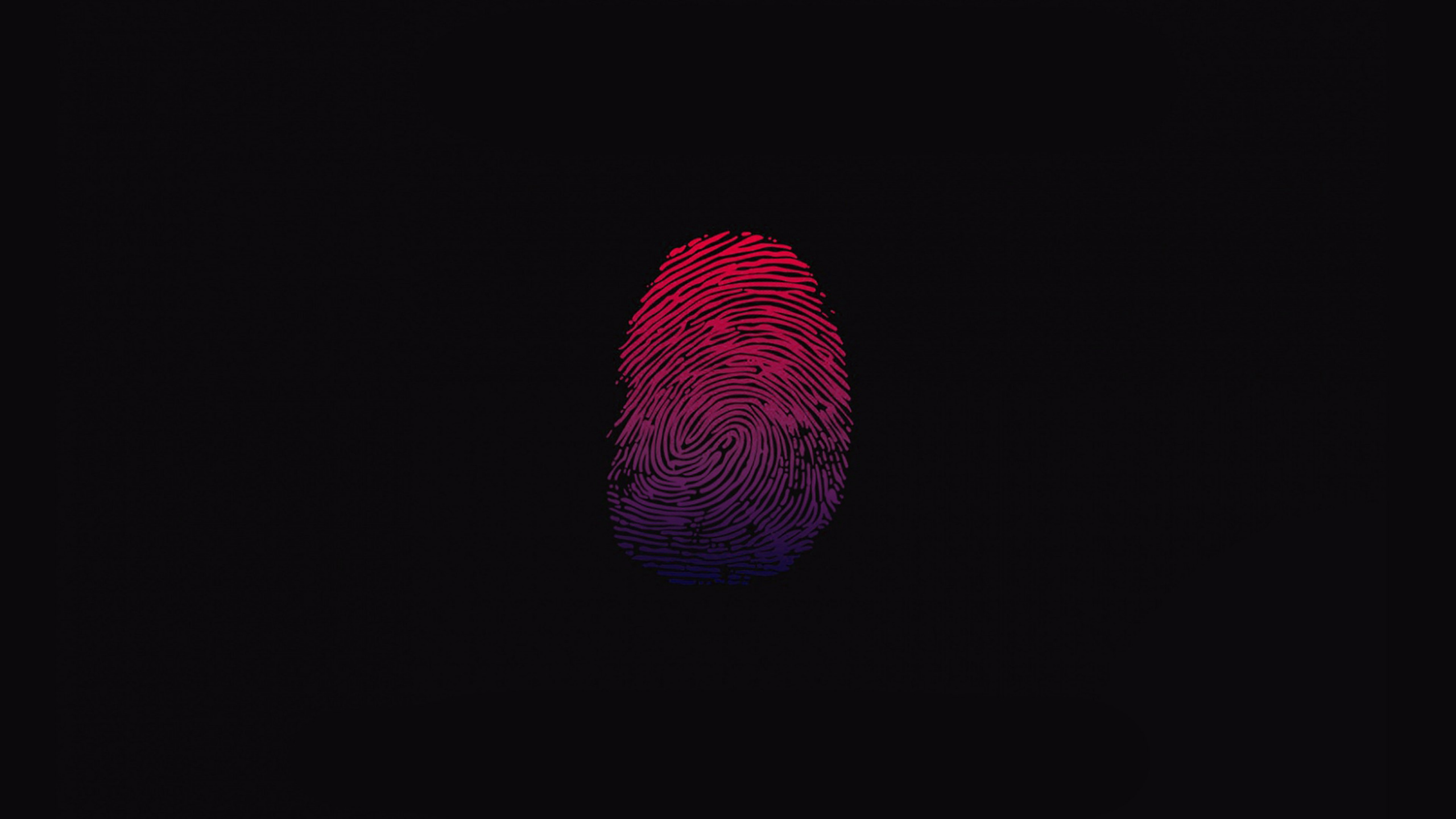 Обои свет, Фиолетовый, красный цвет, пурпур, розовый в разрешении 2560x1440