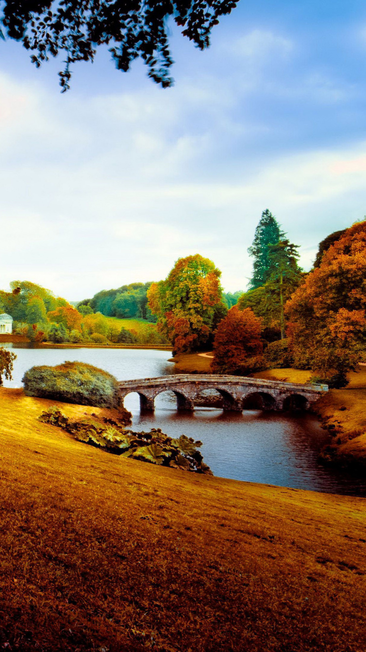 Обои пейзаж, природа, дерево, отражение, солнечный свет в разрешении 750x1334