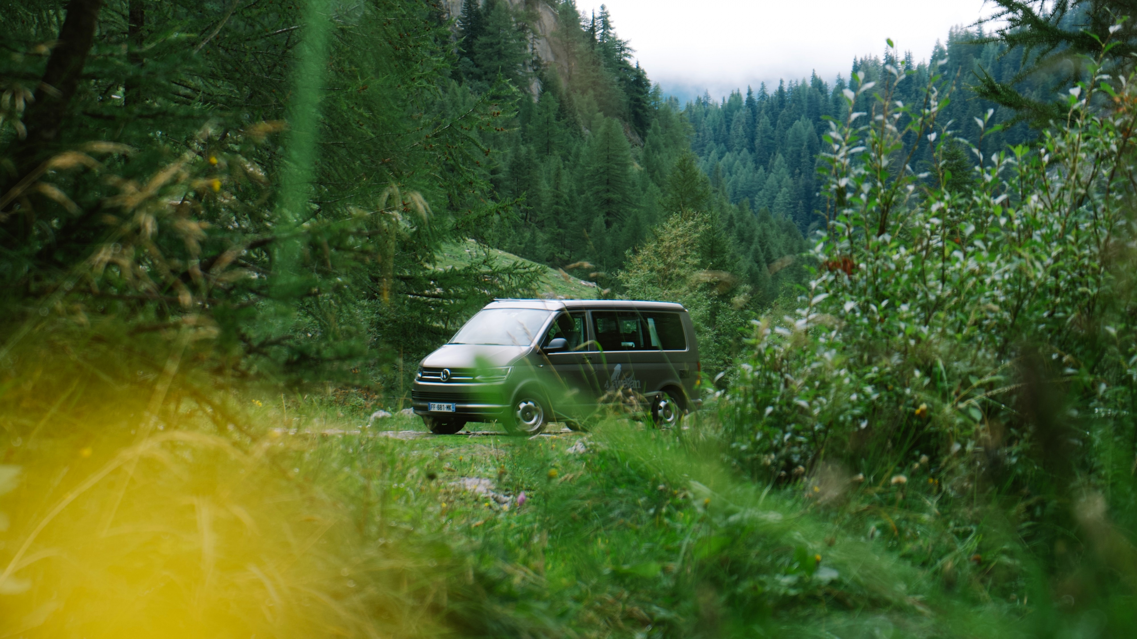 Обои природа, зеленый, растительность, дерево, окружающая среда в разрешении 3840x2160