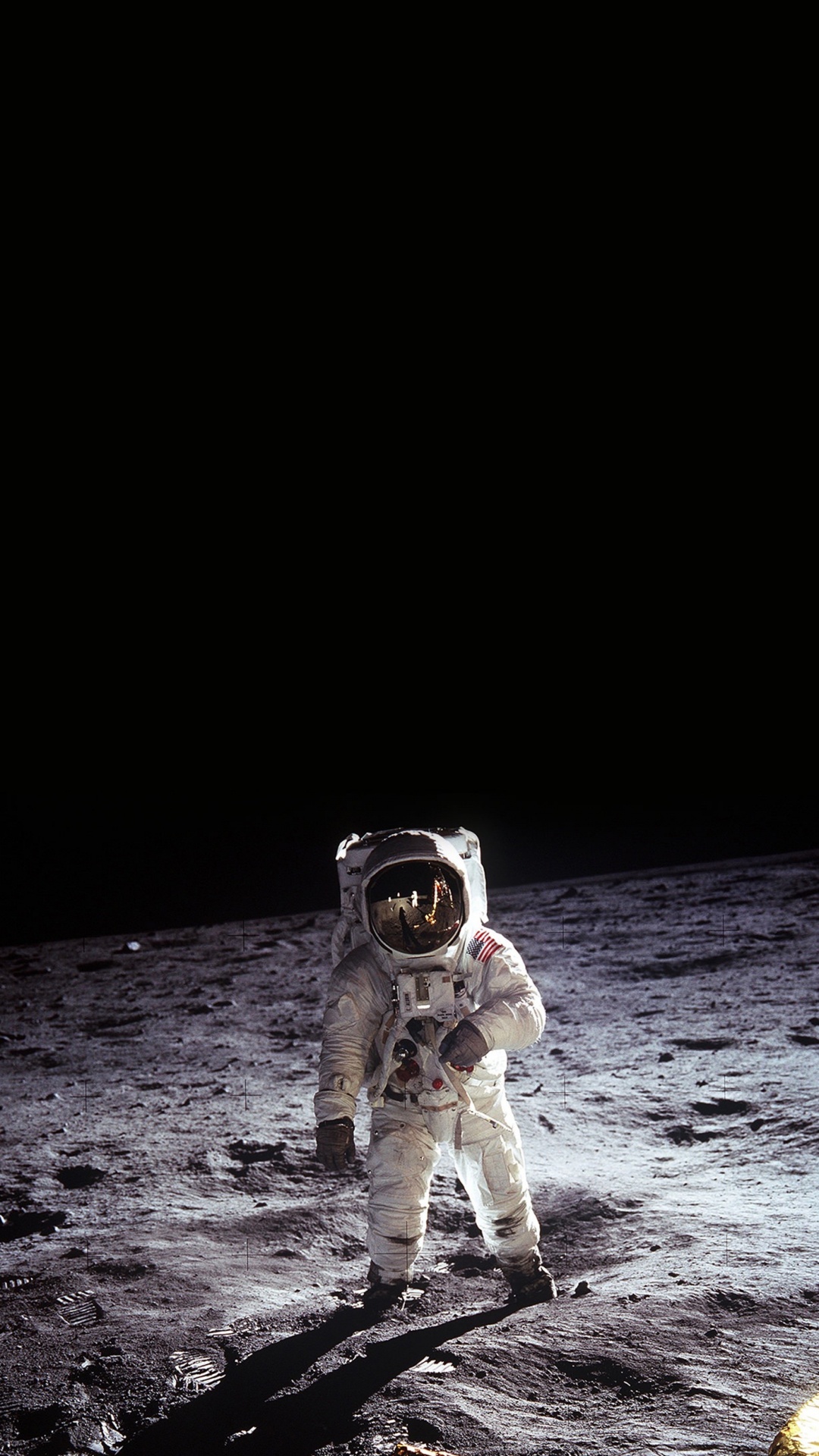 Обои Аполлон 11, программа Аполлон, НАСА, освоение космоса, лунный модуль орел в разрешении 1080x1920