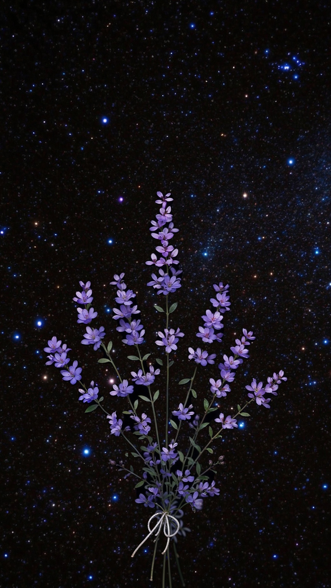 Обои гейсориза, использовал, Создайте, блог, идея в разрешении 1080x1920