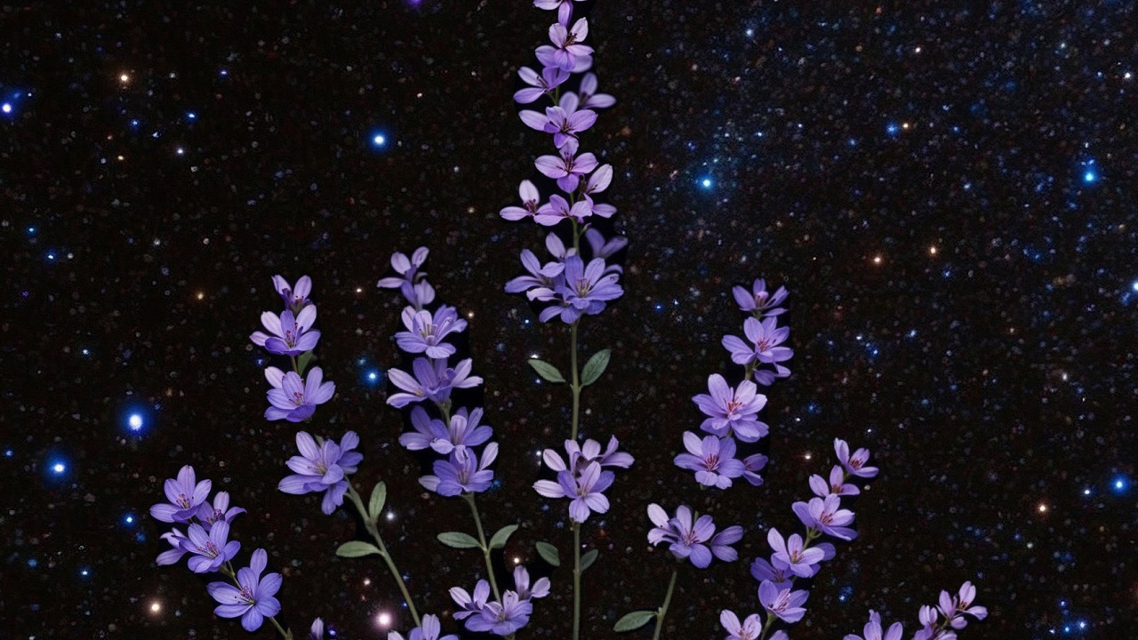 Обои гейсориза, использовал, Создайте, блог, идея в разрешении 1280x720