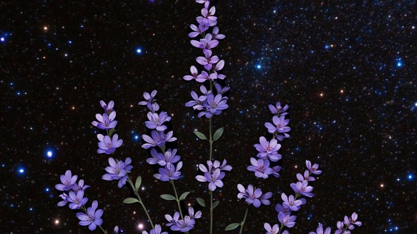 Обои гейсориза, использовал, Создайте, блог, идея в разрешении 1366x768