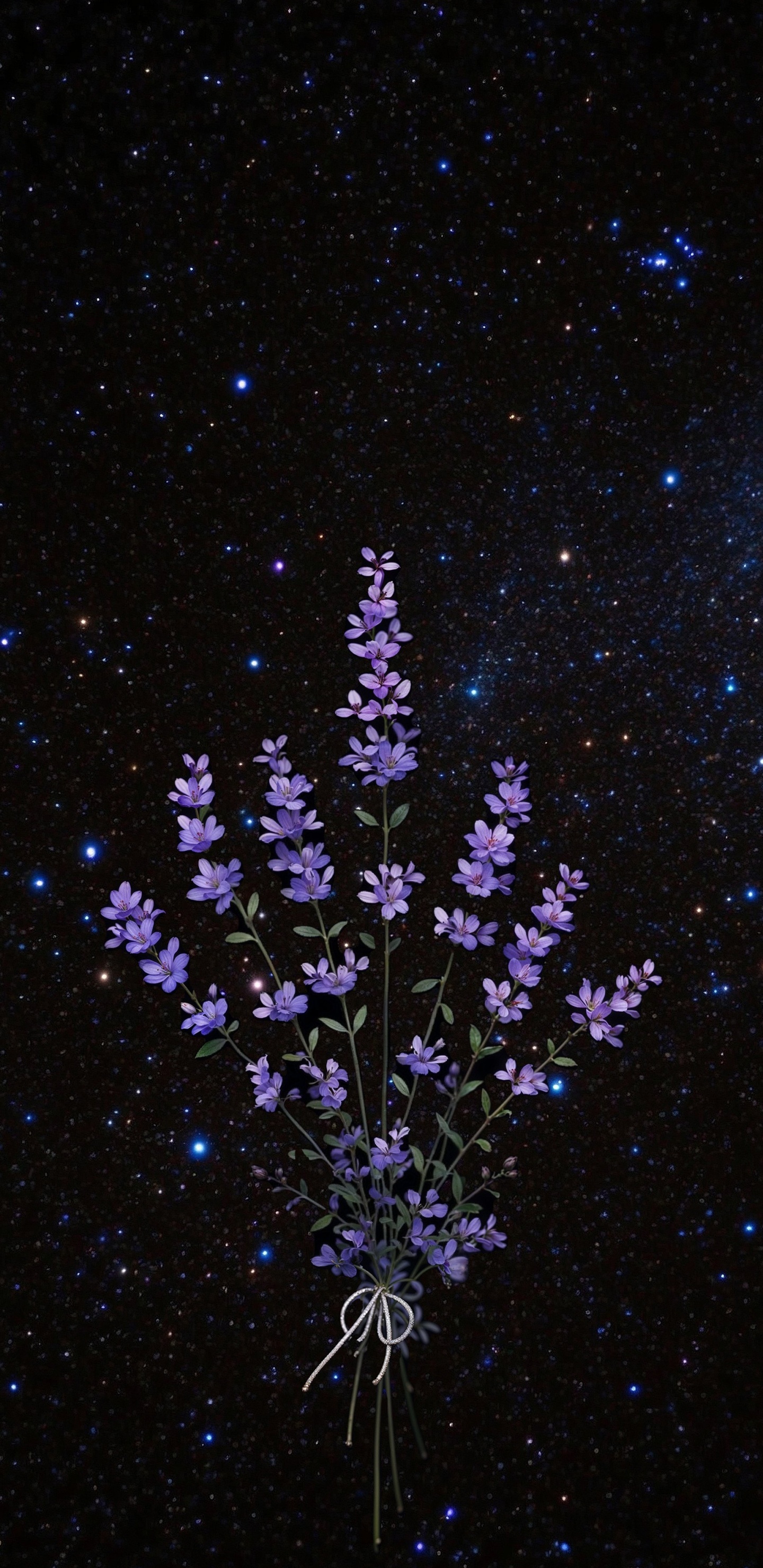 Обои гейсориза, использовал, Создайте, блог, идея в разрешении 1440x2960