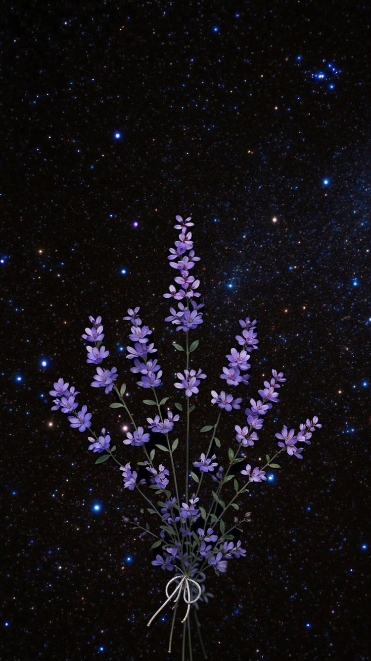 Обои гейсориза, использовал, Создайте, блог, идея в разрешении 750x1334