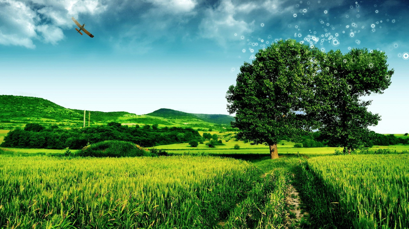 Обои природа, сенокосное угодье, поле, пастбище, растительность в разрешении 1366x768