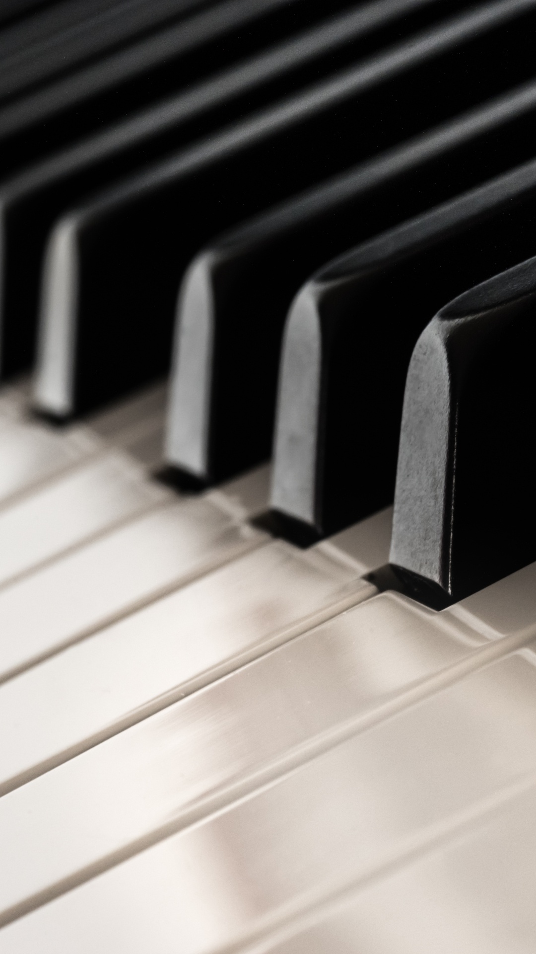 Обои фортепьяно, клавиатура, скрипка, синтезатор, музыкальный инструмент в разрешении 1080x1920