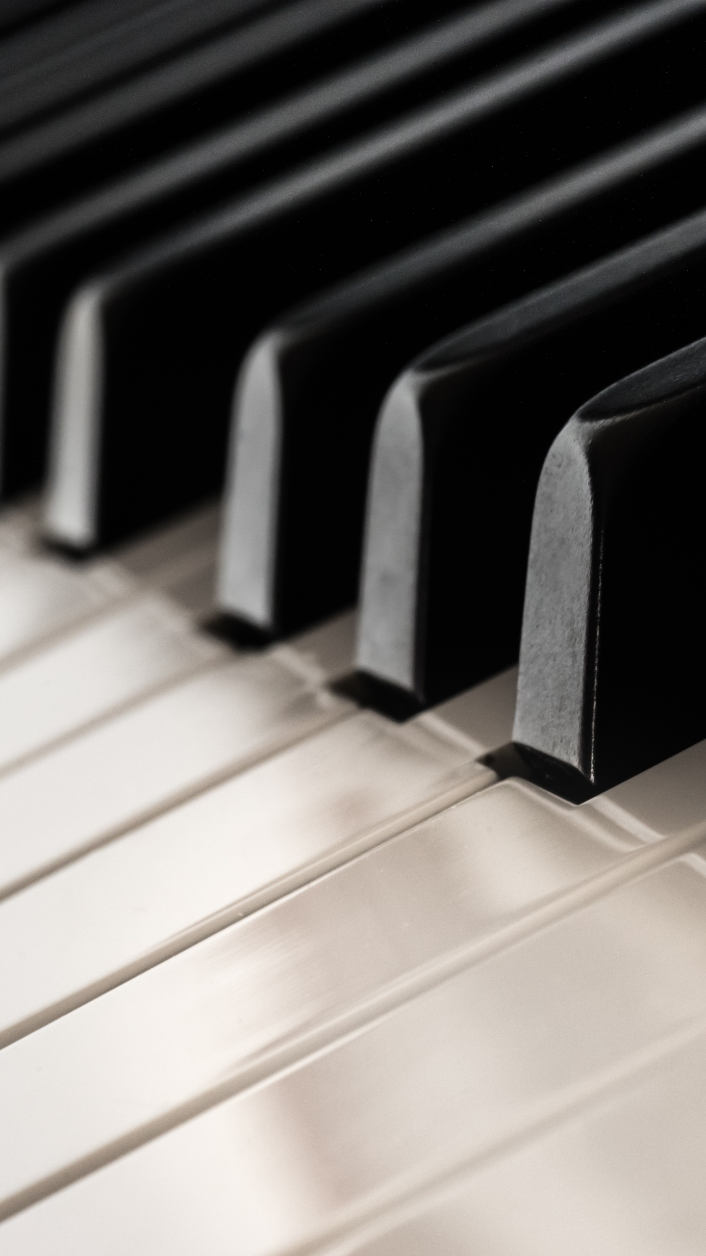 Обои фортепьяно, клавиатура, скрипка, синтезатор, музыкальный инструмент в разрешении 1440x2560