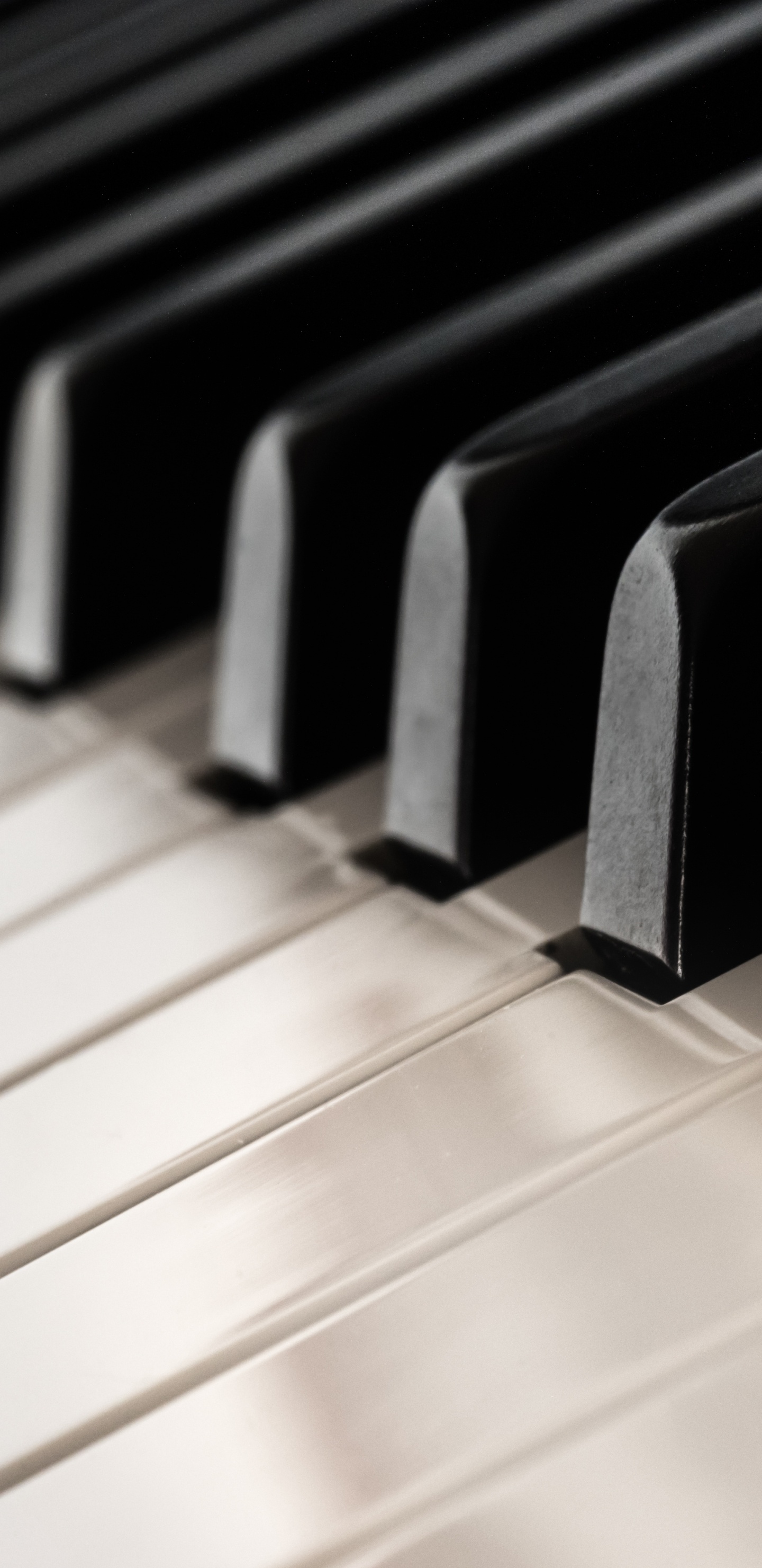 Обои фортепьяно, клавиатура, скрипка, синтезатор, музыкальный инструмент в разрешении 1440x2960