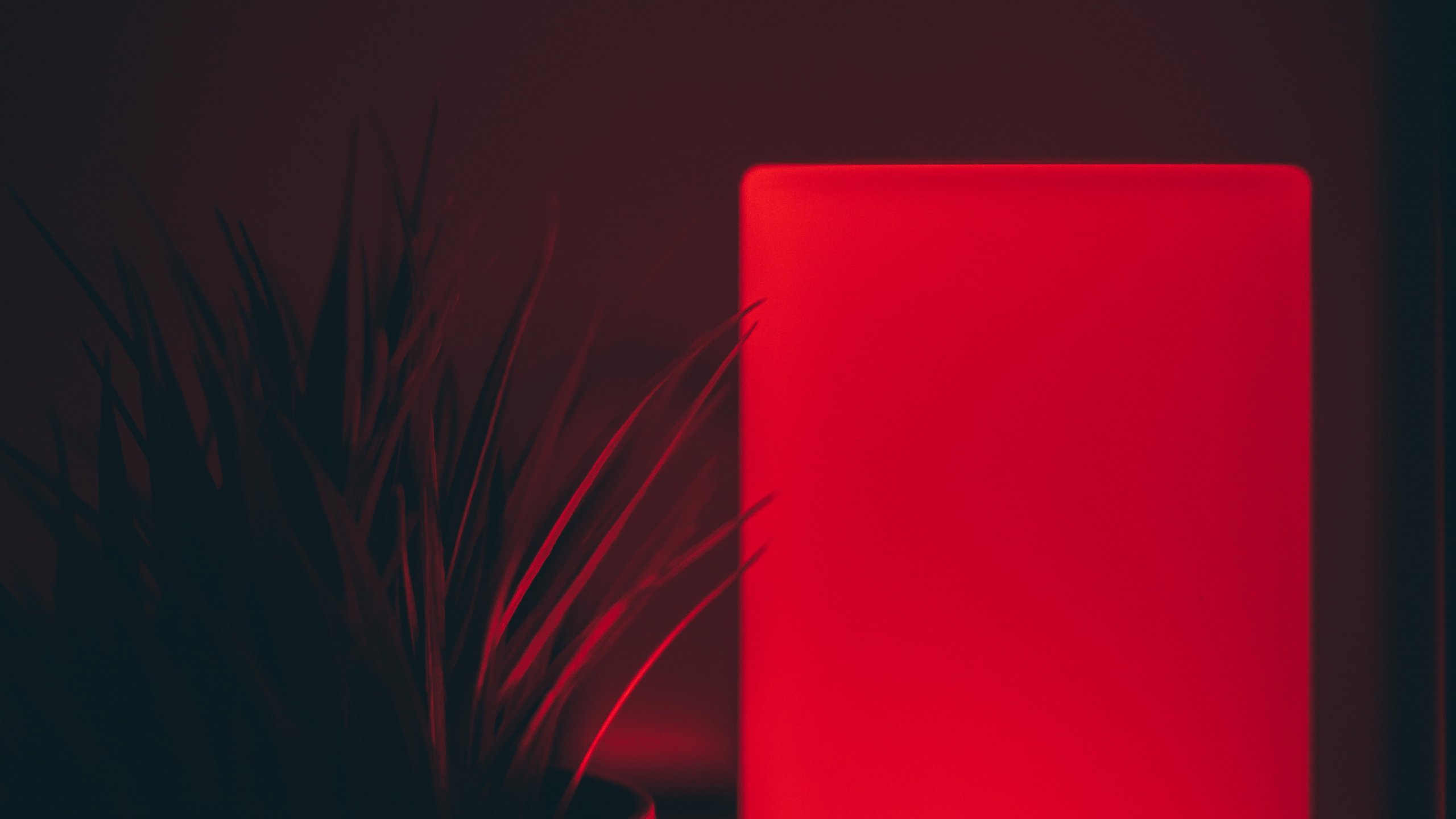 Обои свет, красный цвет, освещение, комната, материальное свойство в разрешении 2560x1440