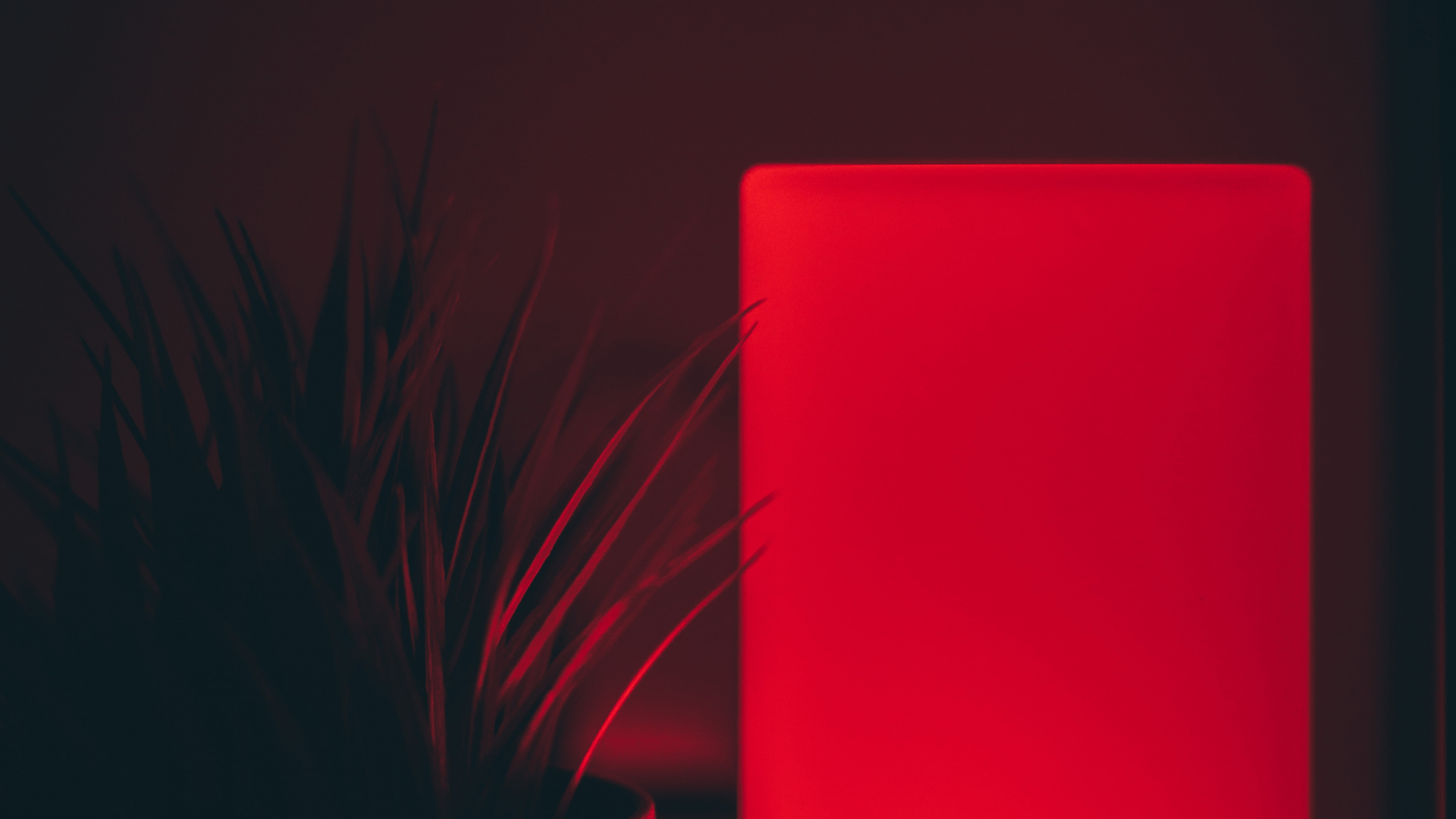 Обои свет, красный цвет, освещение, комната, материальное свойство в разрешении 3840x2160