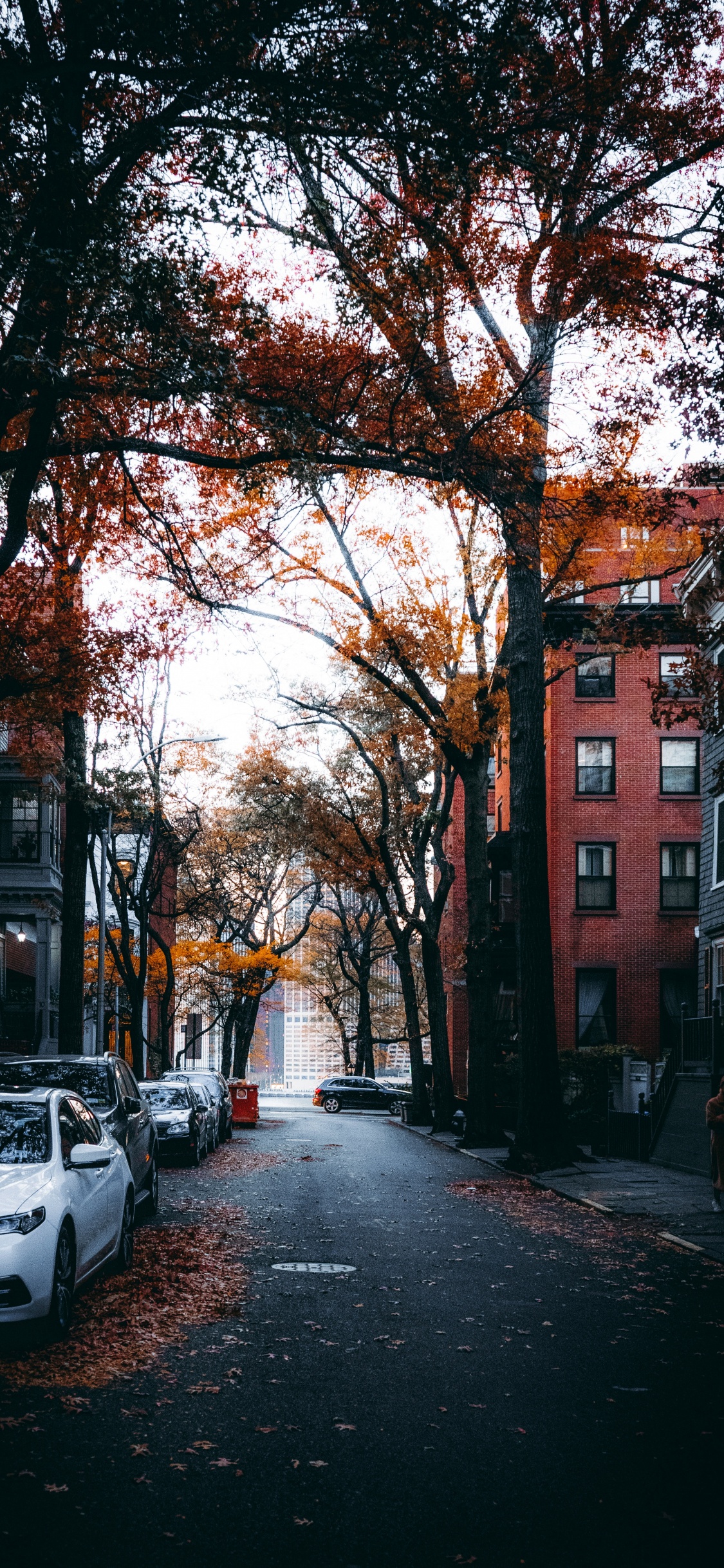 Обои улица, здание, окно, автомобильное освещение, дорожное покрытие в разрешении 1125x2436