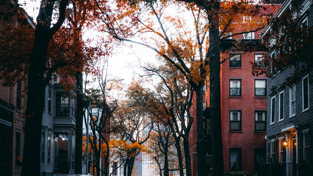 Обои улица, здание, окно, автомобильное освещение, дорожное покрытие в разрешении 1280x720