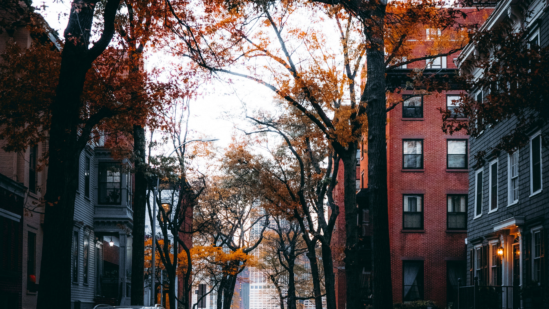 Обои улица, здание, окно, автомобильное освещение, дорожное покрытие в разрешении 1920x1080