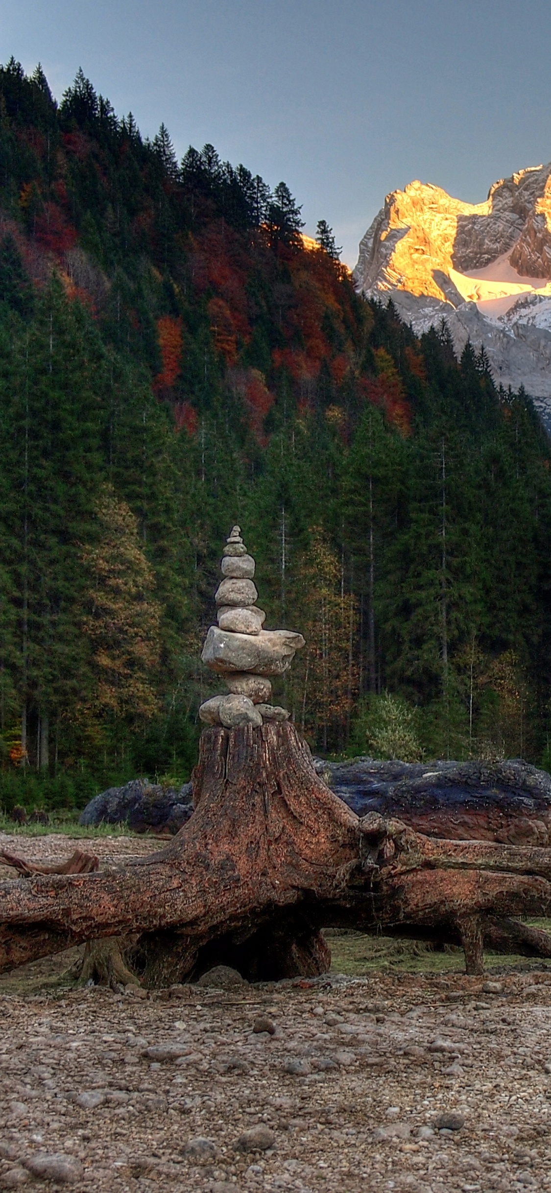 Обои пейзаж, дерево, природа, дикая местность, гора в разрешении 1125x2436