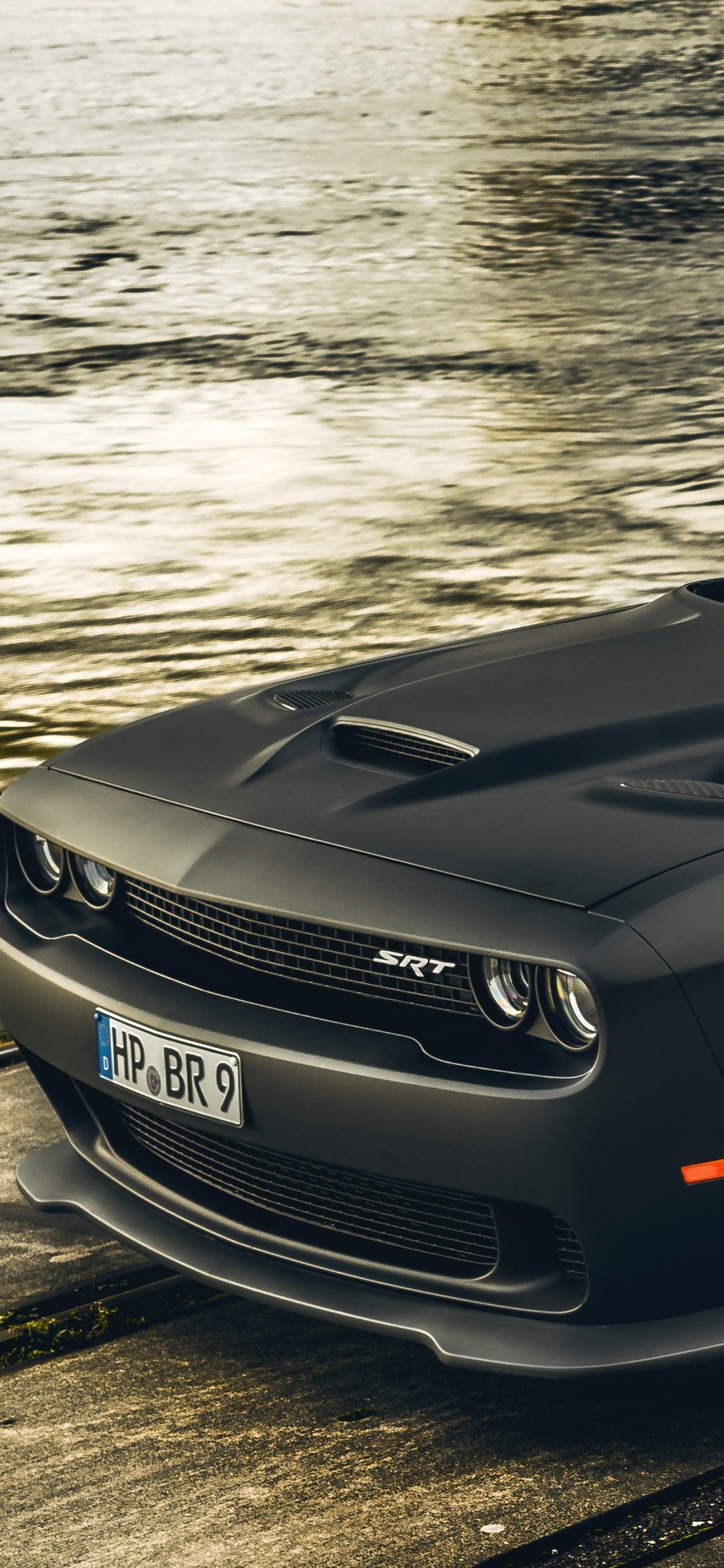 Обои Додж Челленджер, dodge, авто, мускул кар, шина в разрешении 1242x2688