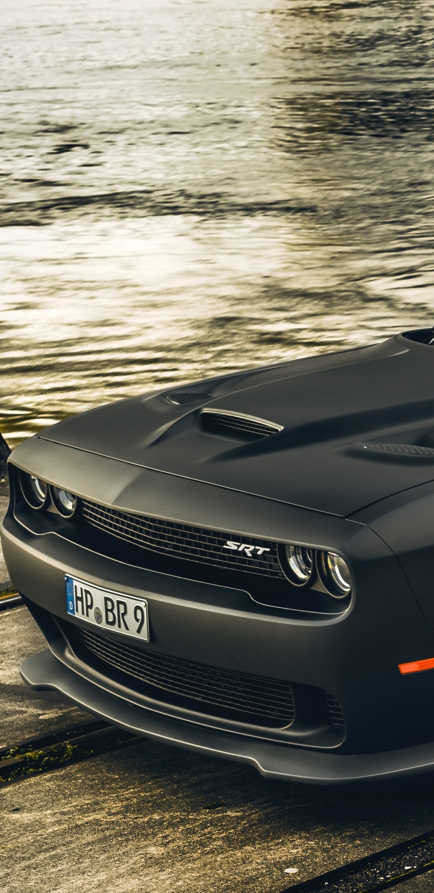 Обои Додж Челленджер, dodge, авто, мускул кар, шина в разрешении 1440x2960