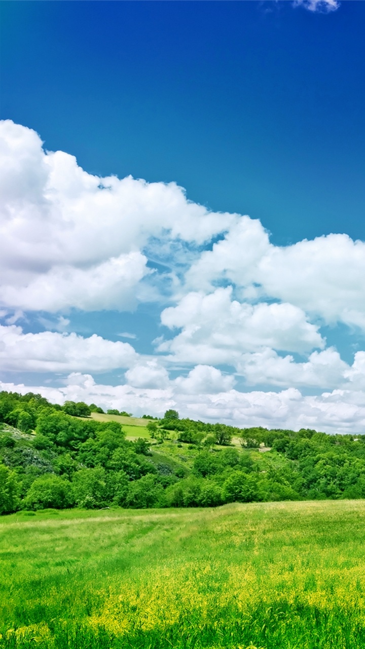 Обои облако, природа, небо, равнина, экосистема в разрешении 720x1280