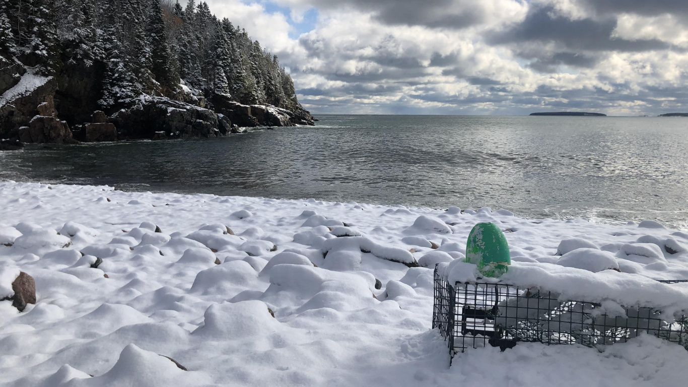 Обои пляж, пляж маленьких охотников, море, берег, Солнечный берег в разрешении 1366x768