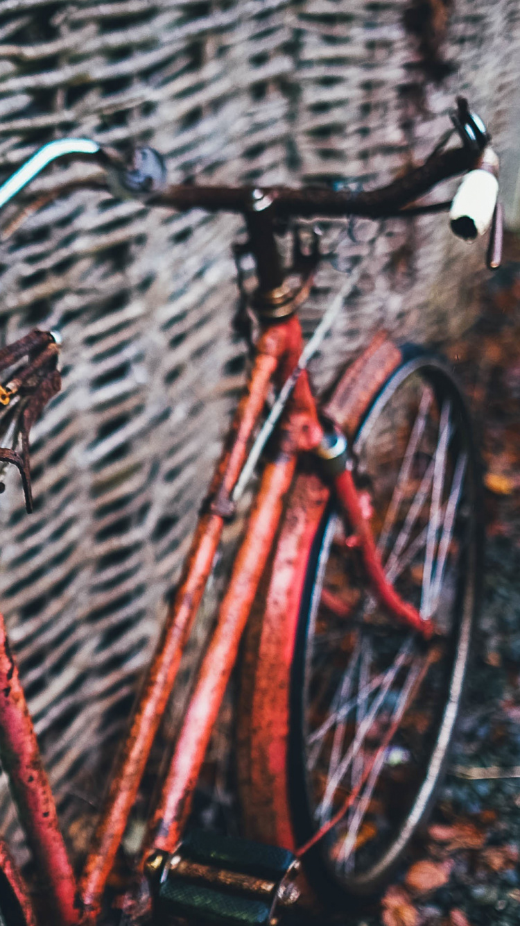 Обои велосипед, забор в разрешении 750x1334