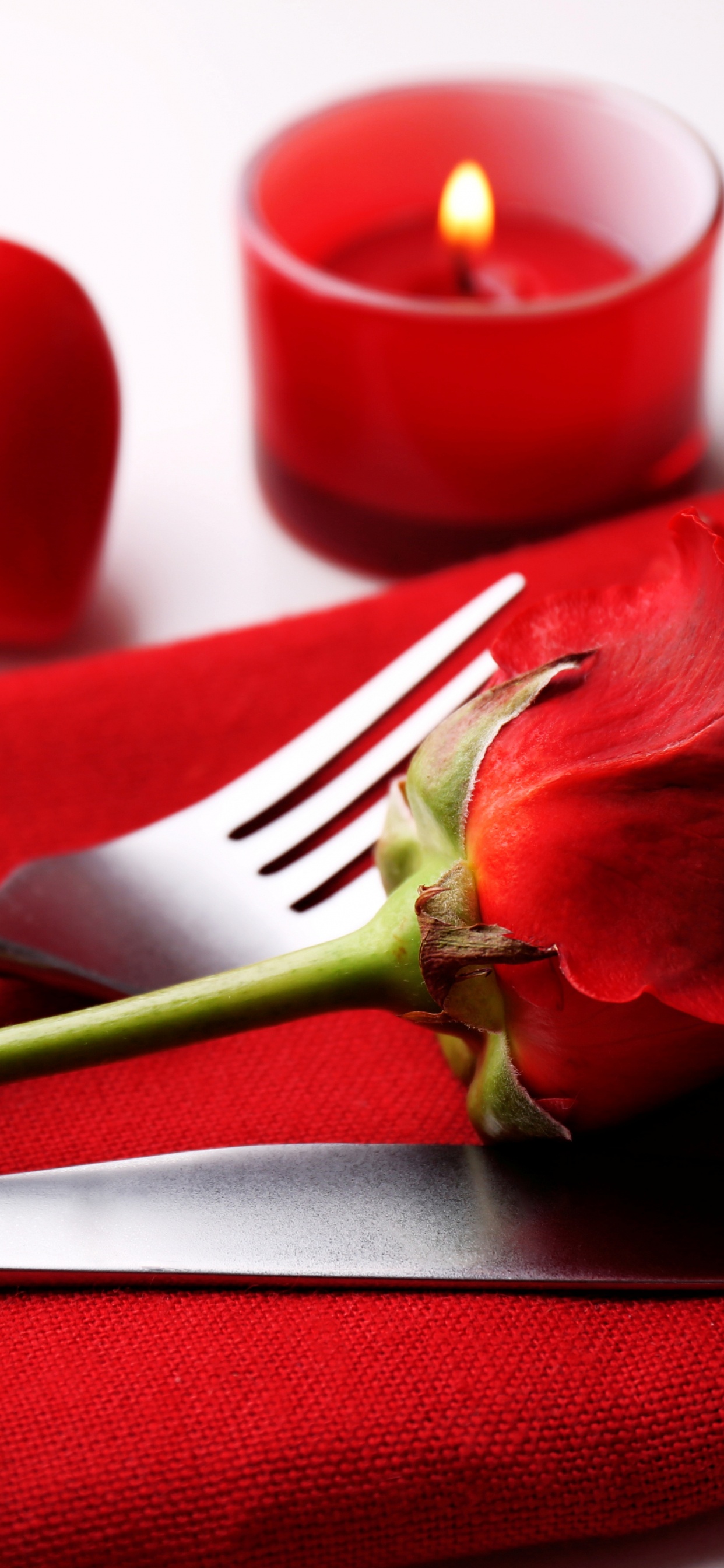Обои День Святого Валентина, лепесток, цветок, Роза, любовь в разрешении 1242x2688
