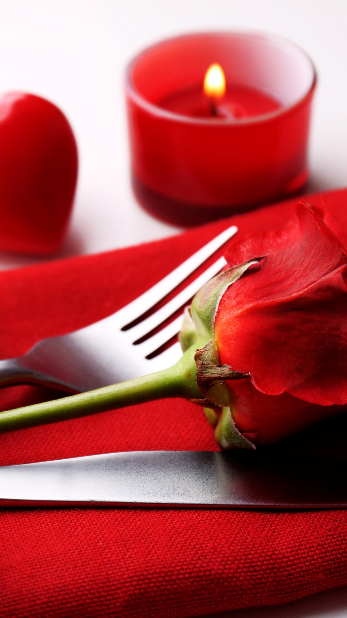 Обои День Святого Валентина, лепесток, цветок, Роза, любовь в разрешении 1440x2560