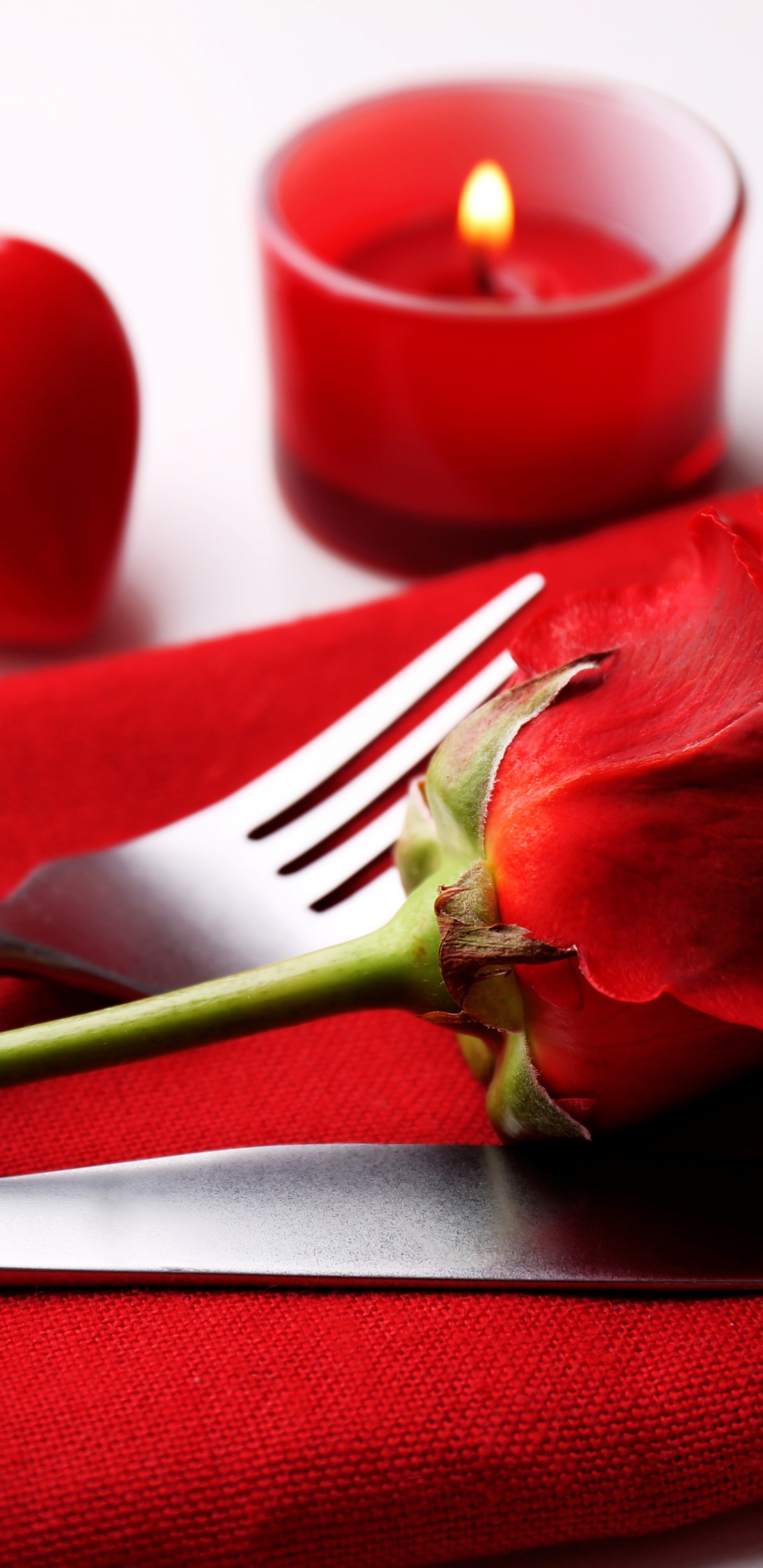 Обои День Святого Валентина, лепесток, цветок, Роза, любовь в разрешении 1440x2960