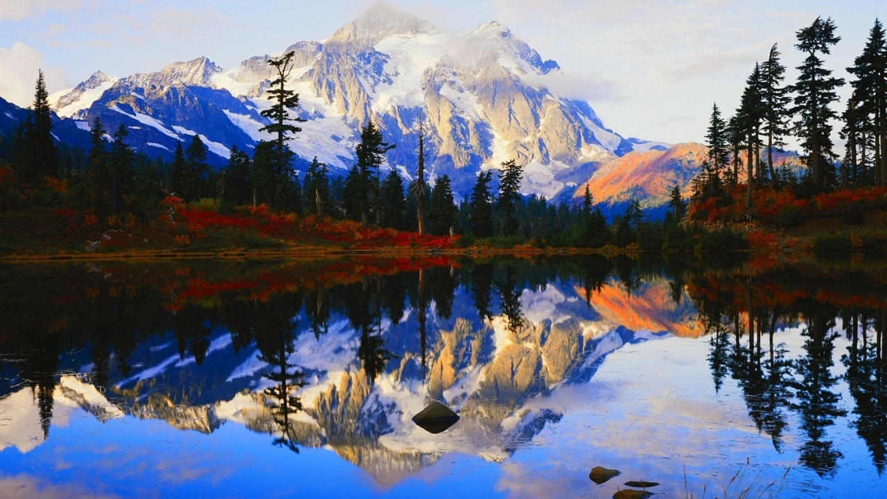 Обои подарочная карта cabelas 20, Кабелас, подарочная карта cabelas, подарочная карта, бас про магазины в разрешении 1280x720