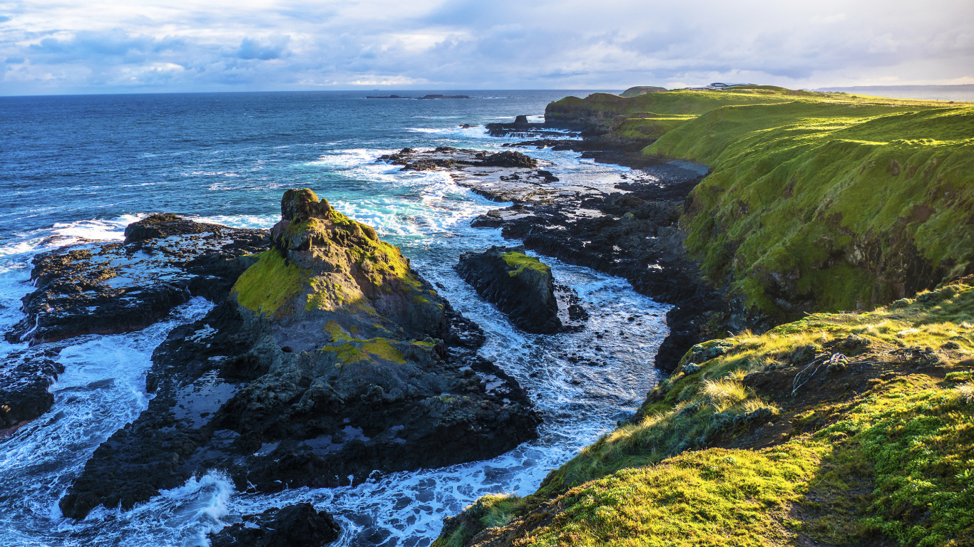 Обои остров Филлип, море, побережье, берег, рок в разрешении 1366x768